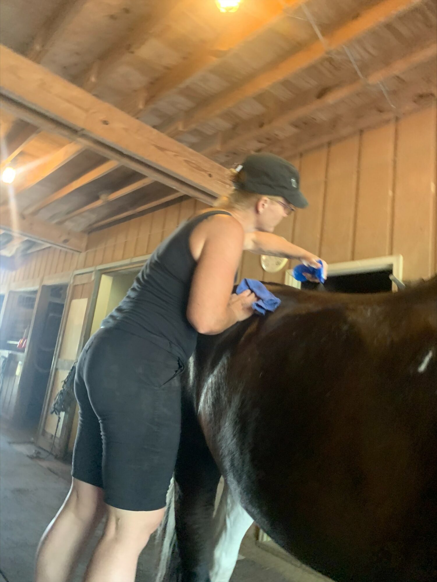 Camille's Tack Cleaning