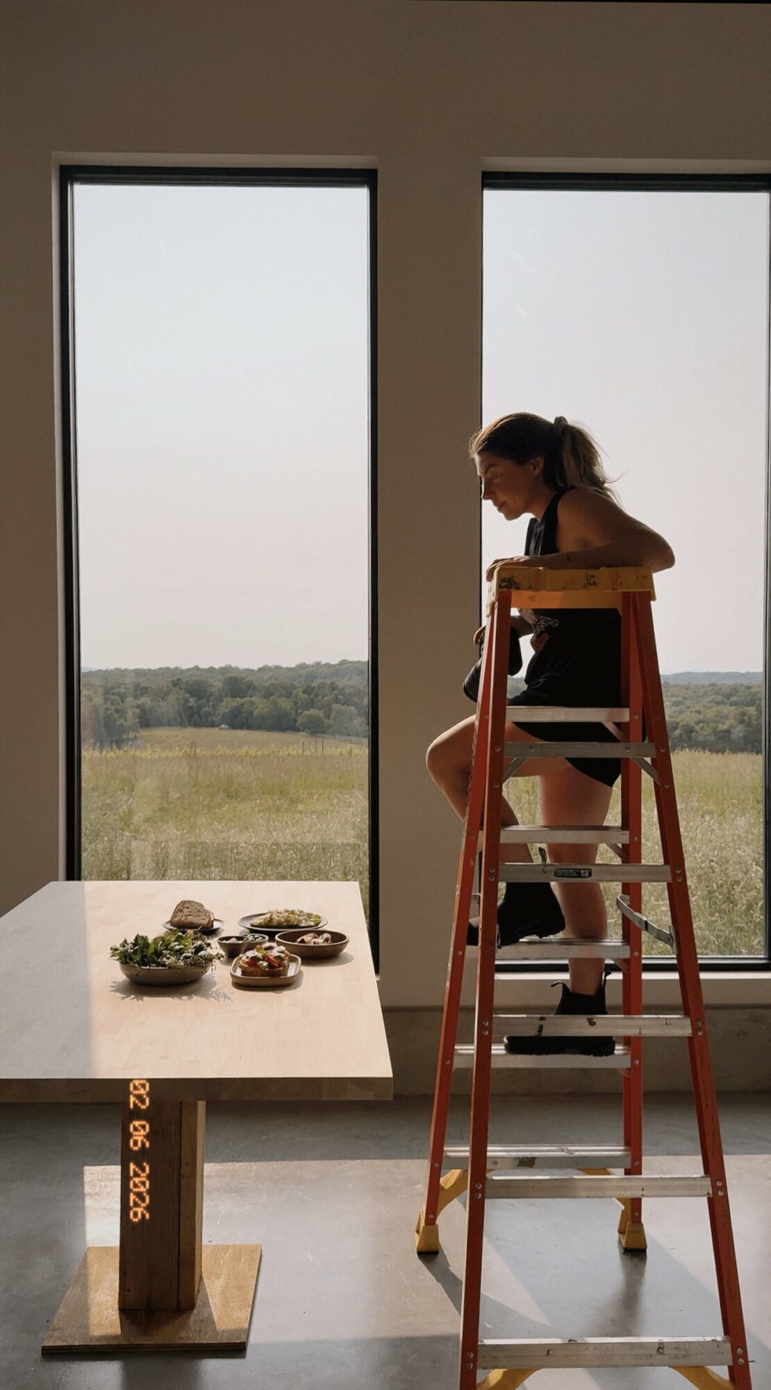 A girl stands on a wooden ladder next to a large window, with a table of food nearby, overlooking a field.