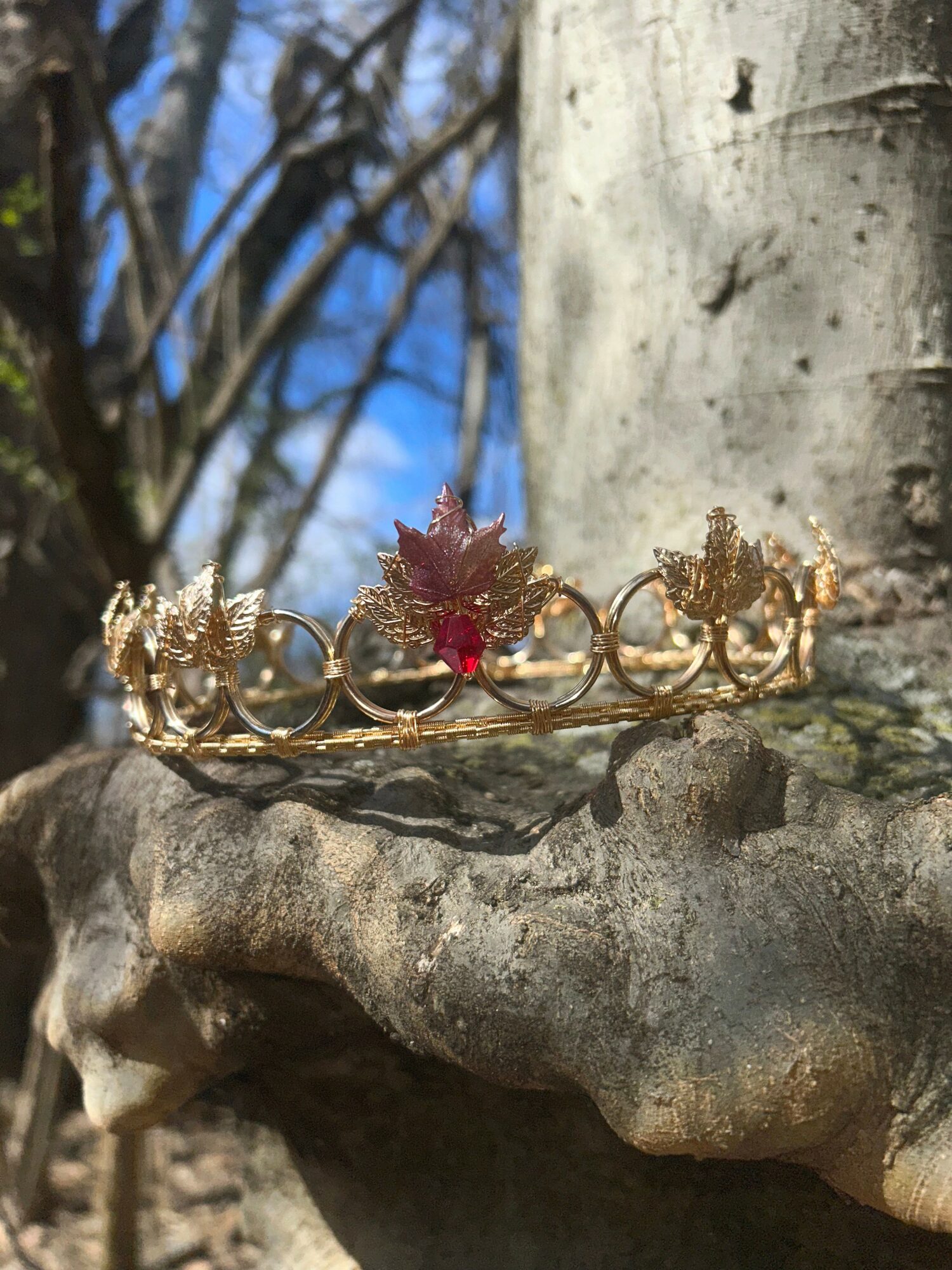 Gold tiara with a central red gemstone and leaf-like decorations, placed on a rock outdoors with trees and blue sky.
