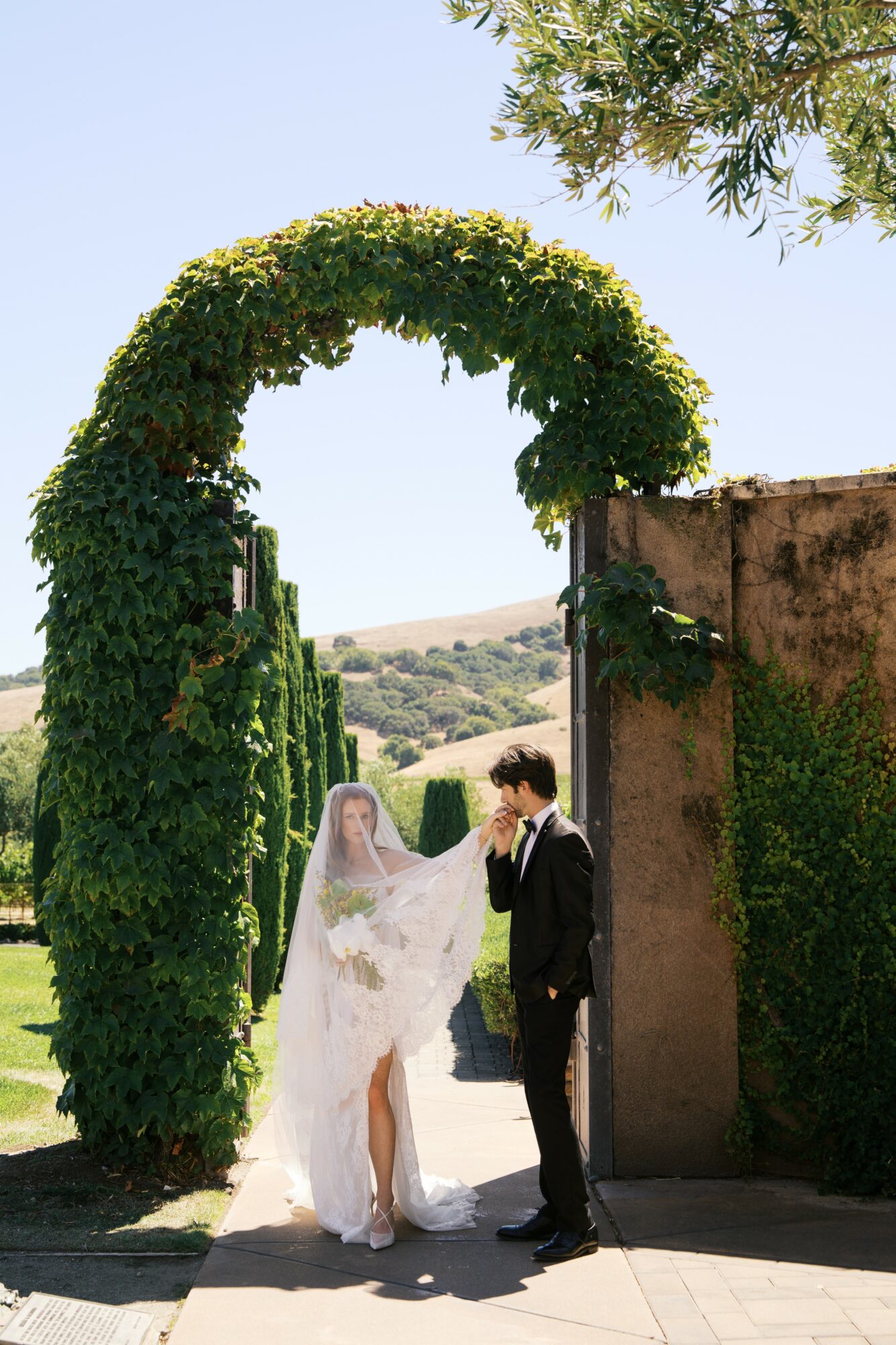 Bride and groom standing under a green archway with a clear sky and landscape in background.