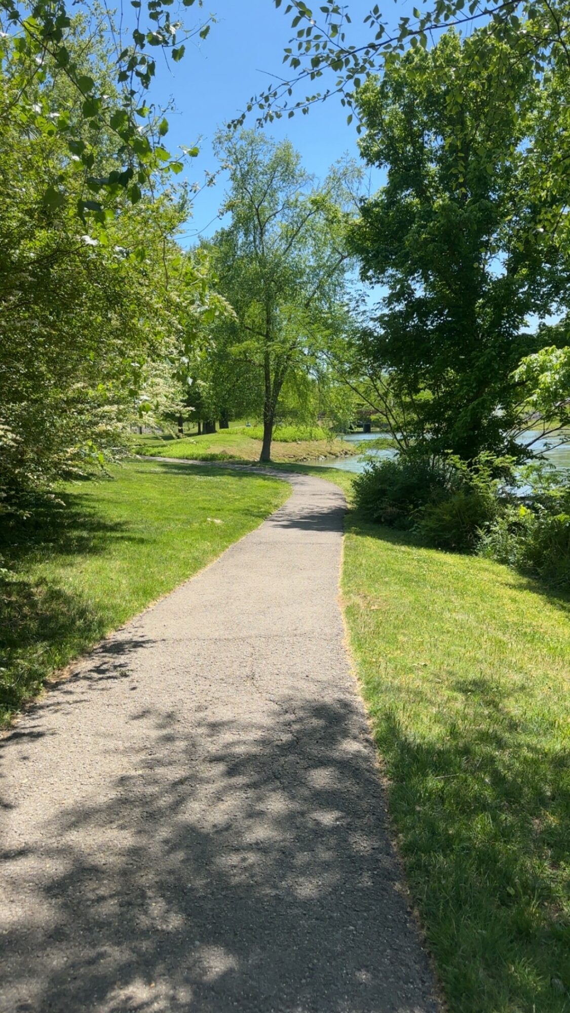 Concrete pathway winding through lush green trees and grass on a sunny day.