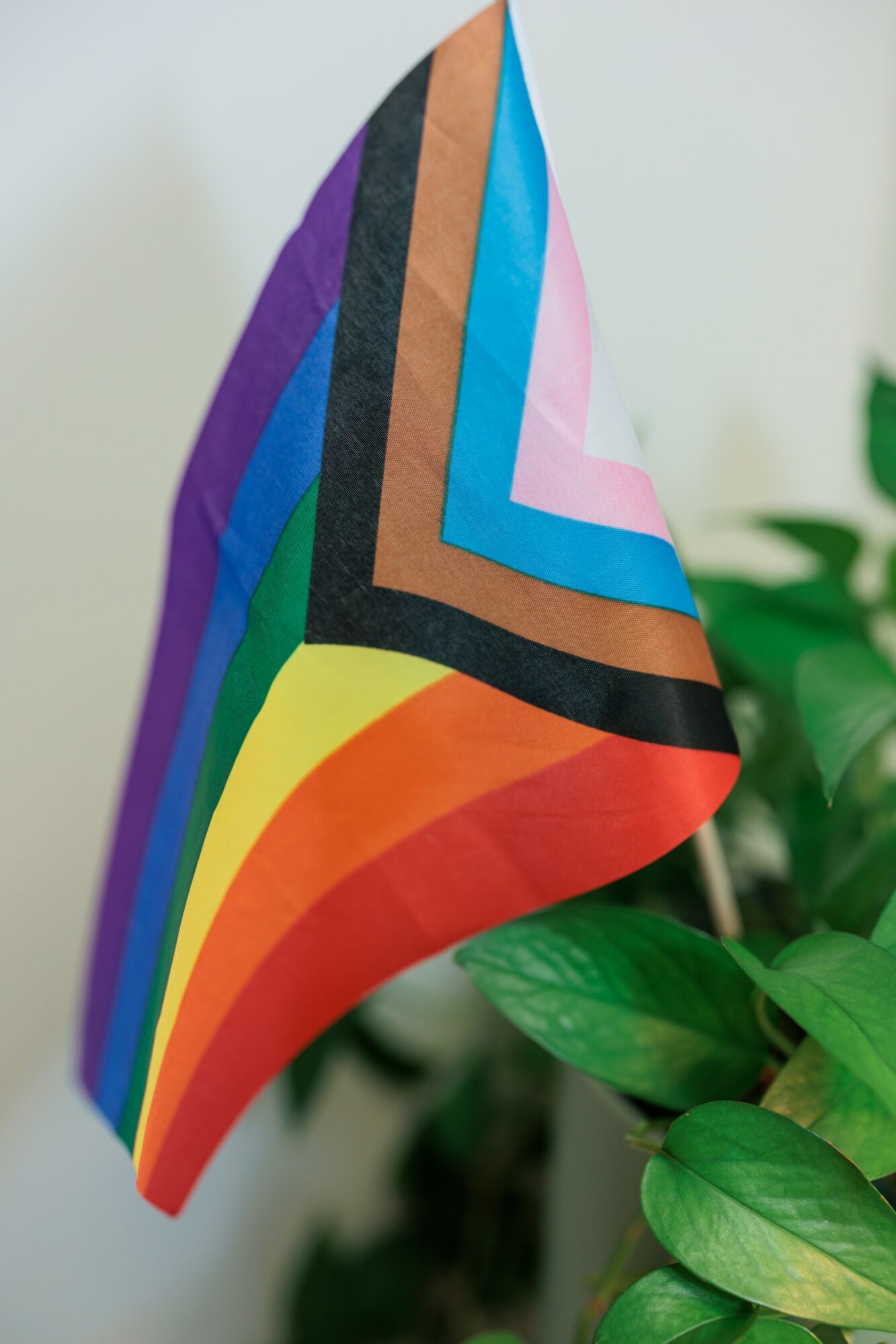 Rainbow pride flag with multiple colored stripes, hanging next to green leaves, slightly curled at the edge.