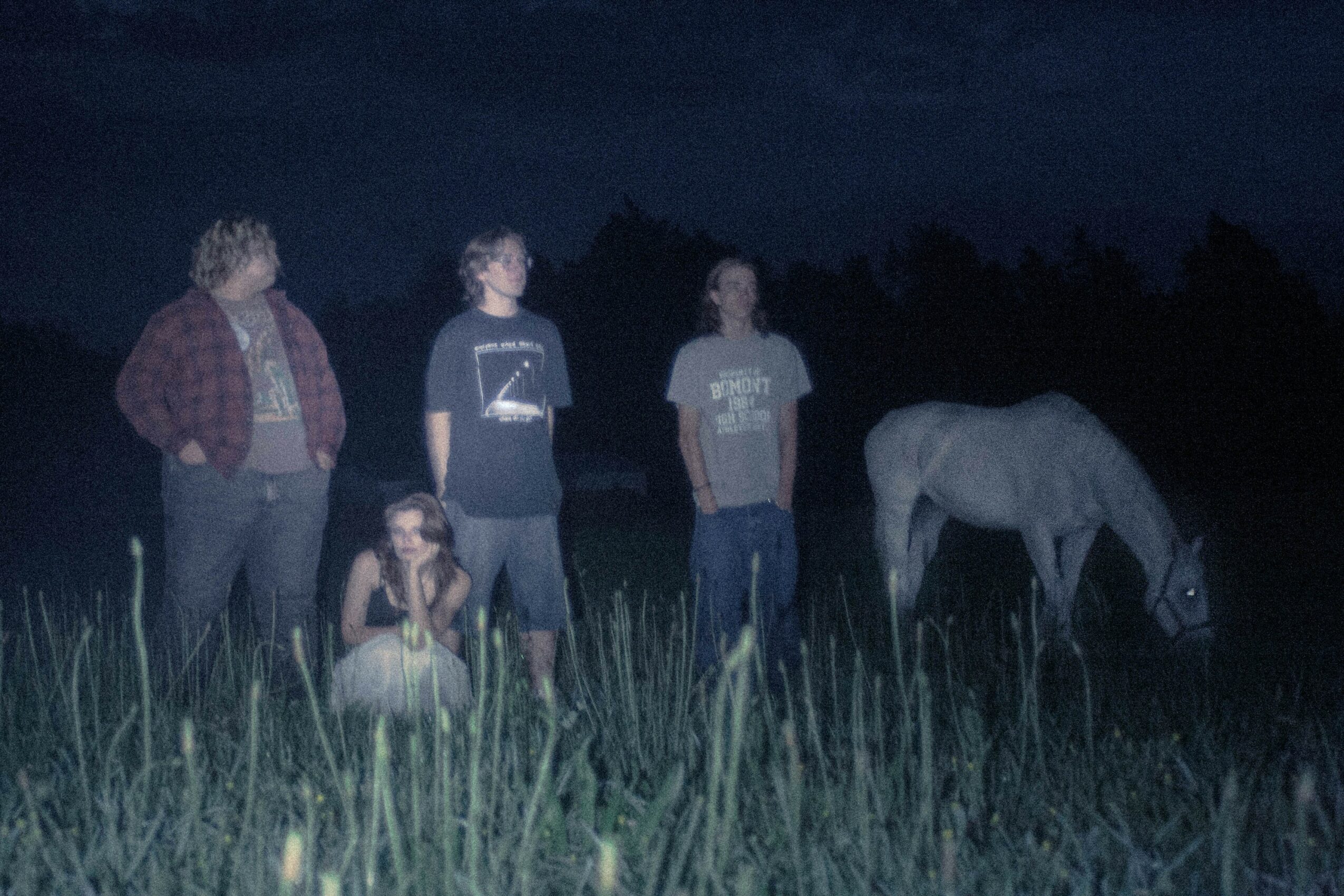 Four people and a horse in a grassy field at night, with dark sky and trees in background.