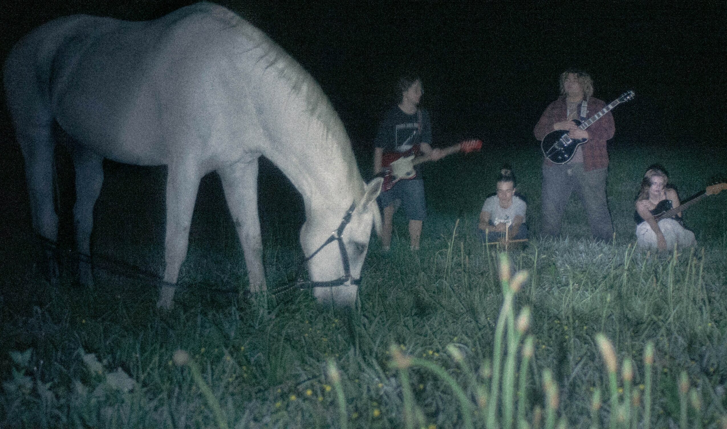 A white horse grazing in a field at night with four people playing guitars nearby.