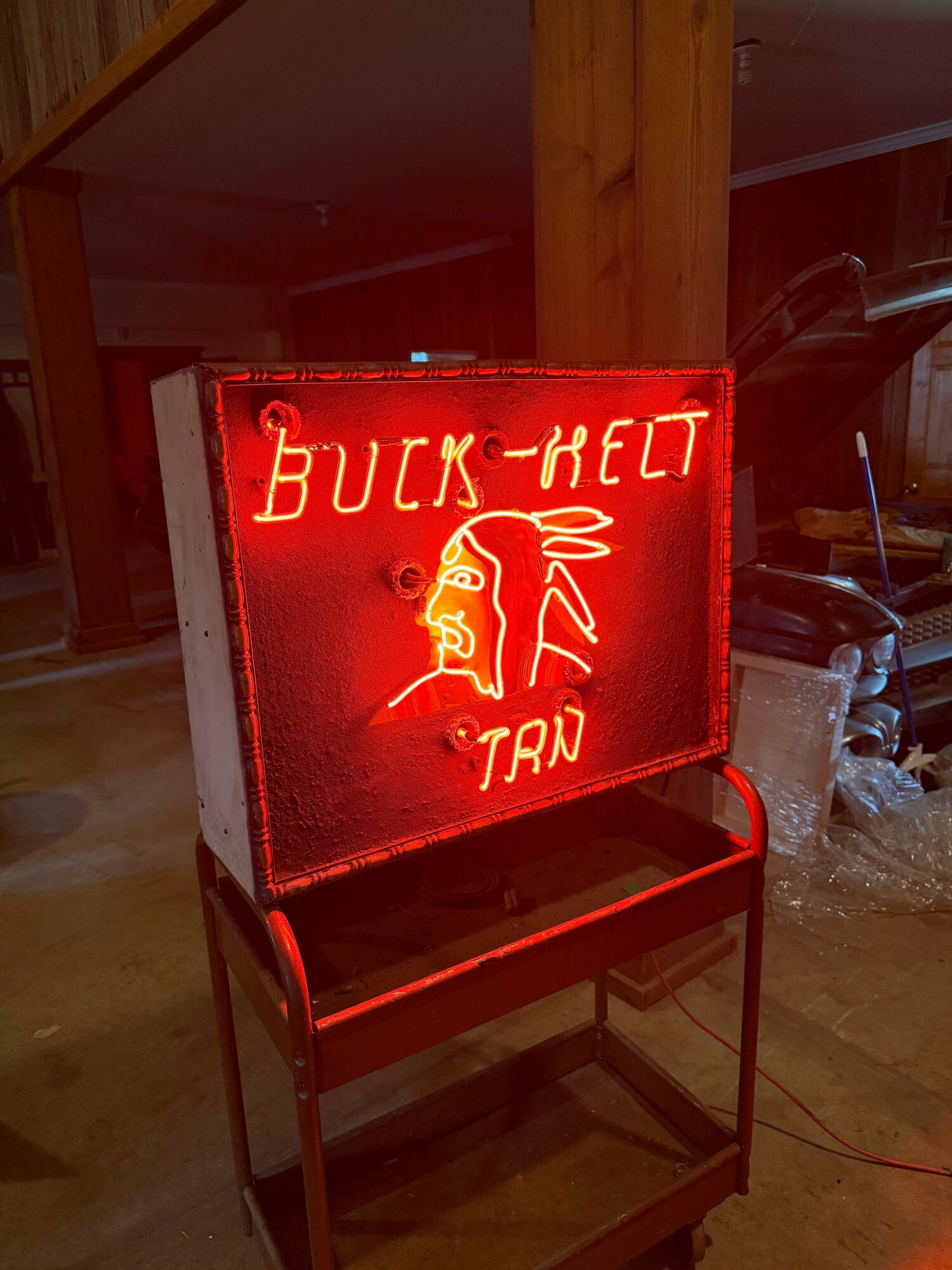Red neon sign with text and a pig illustration, reading 'Buck Hill Tap'.