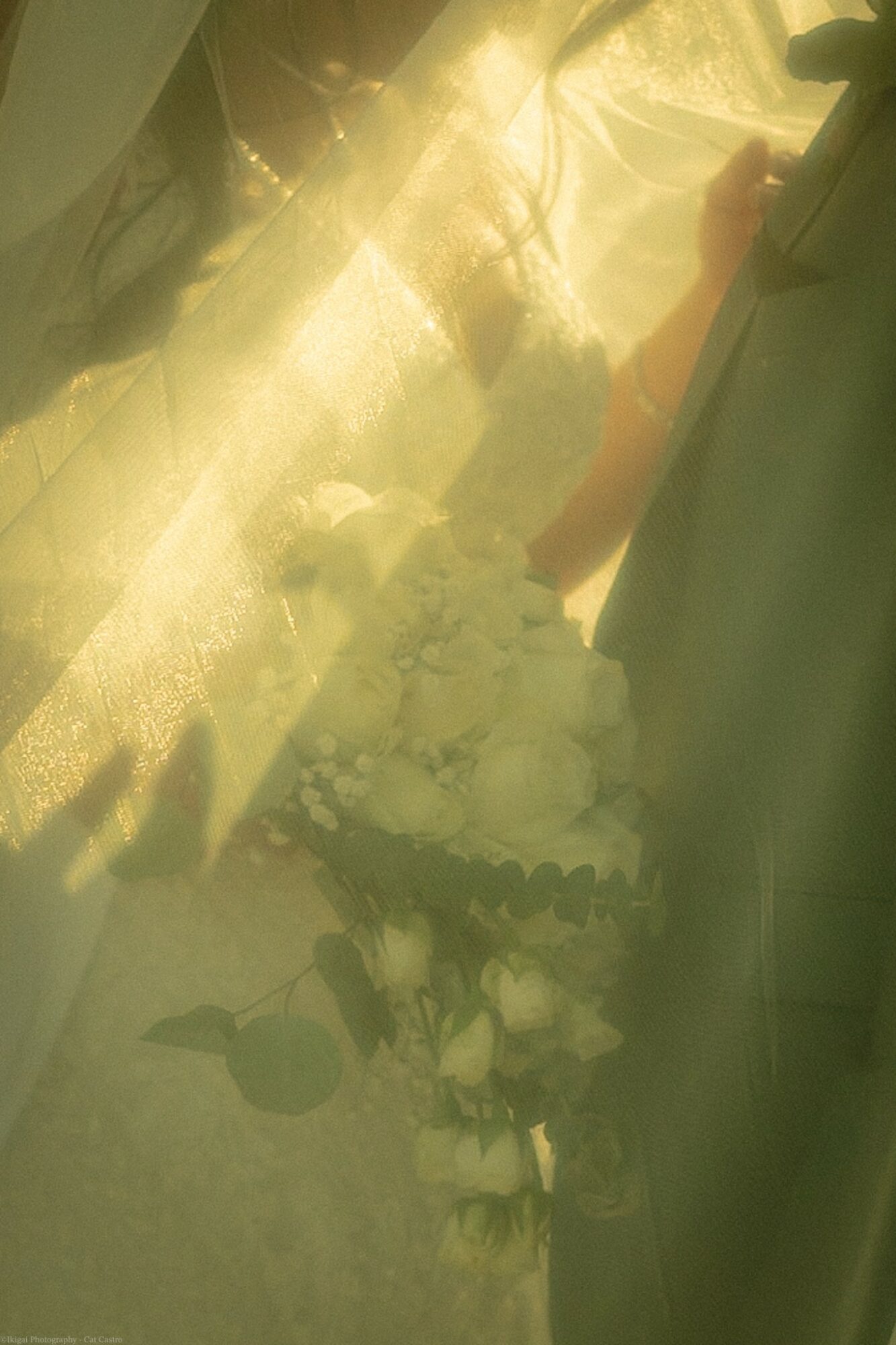 Person holding a bouquet of white flowers, sunlight shining through, with a blurred background.