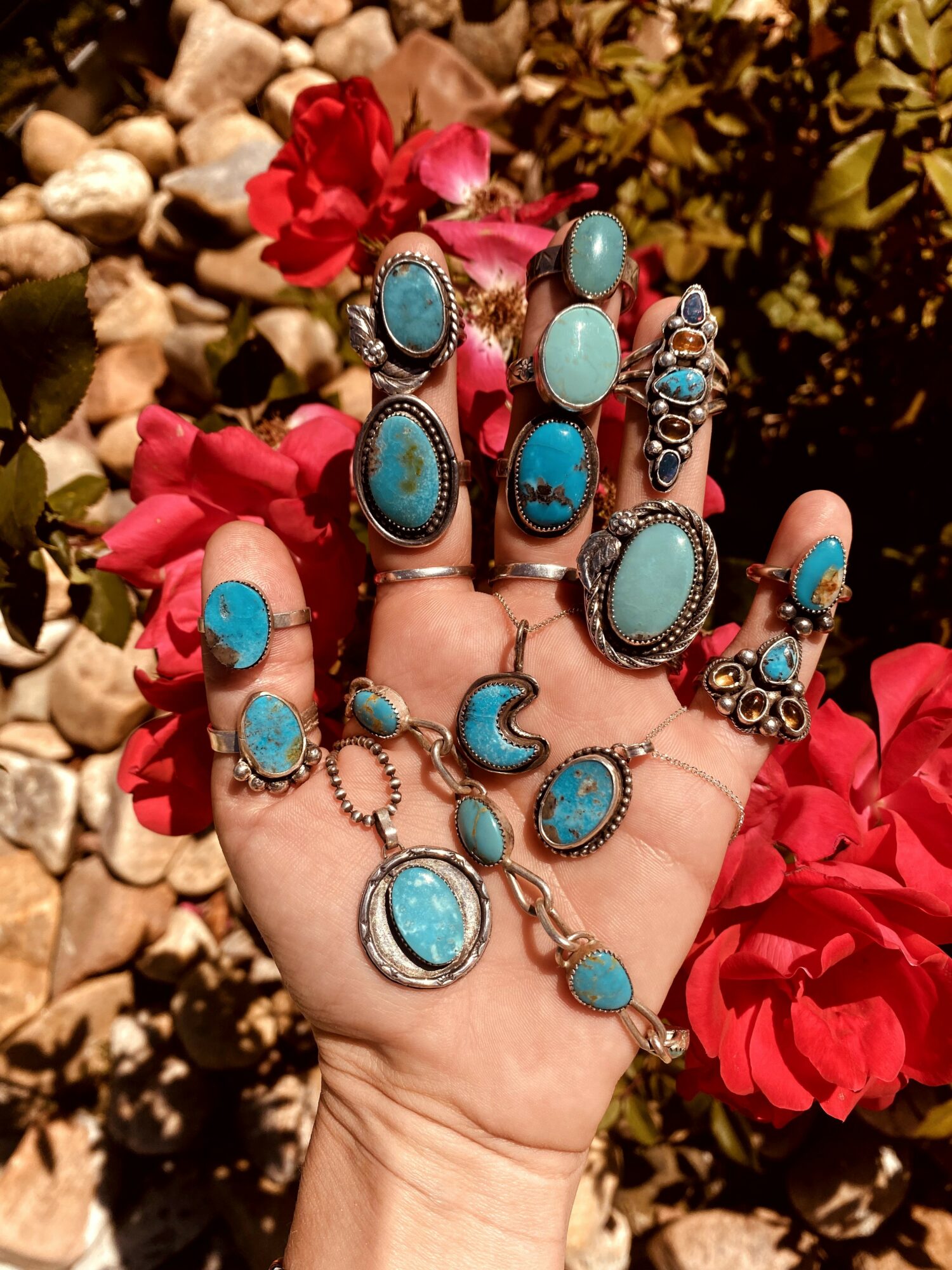 Hand with multiple turquoise and silver rings, surrounded by red flowers and rocks, outdoors.