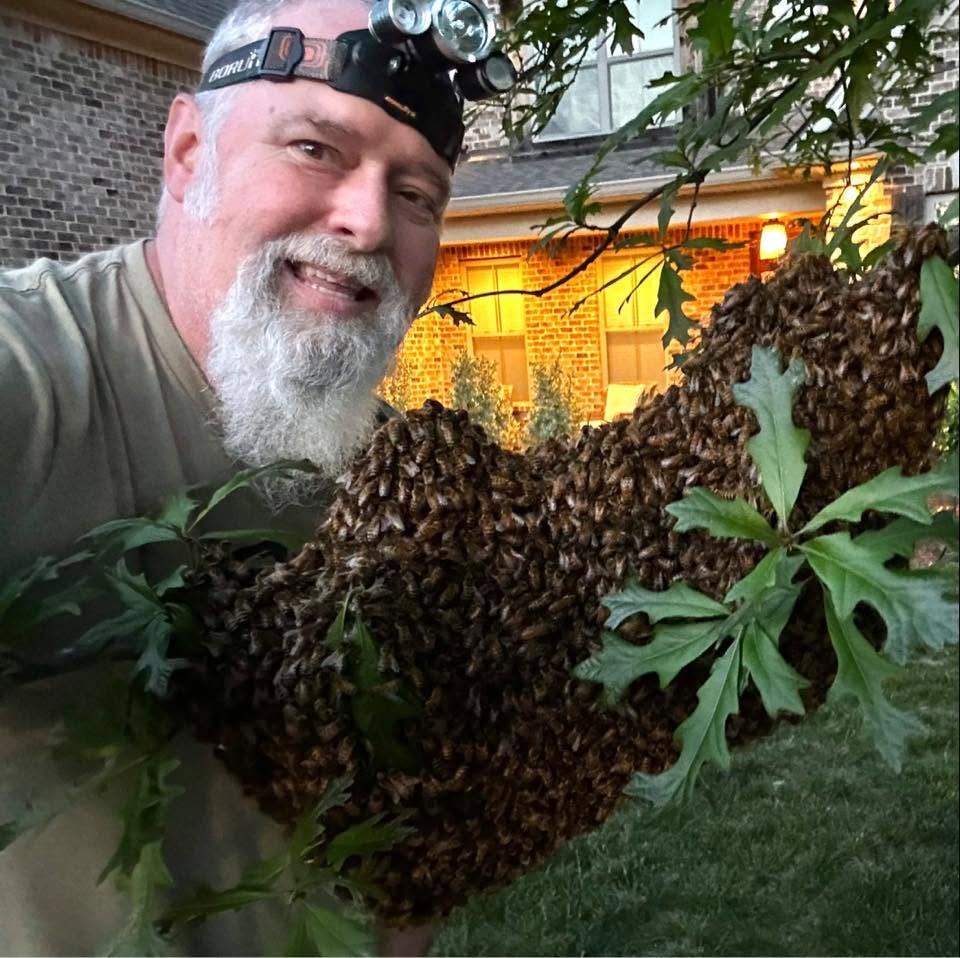 Man with headlamp smiling outdoors next to a large cluster of dried brown hydrangea flowers and green leaves, house in background.
