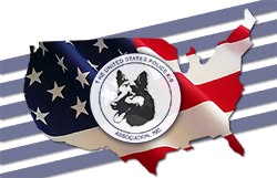 Map of the United States with an American flag pattern and a circular emblem featuring a wolf's head, over striped background.