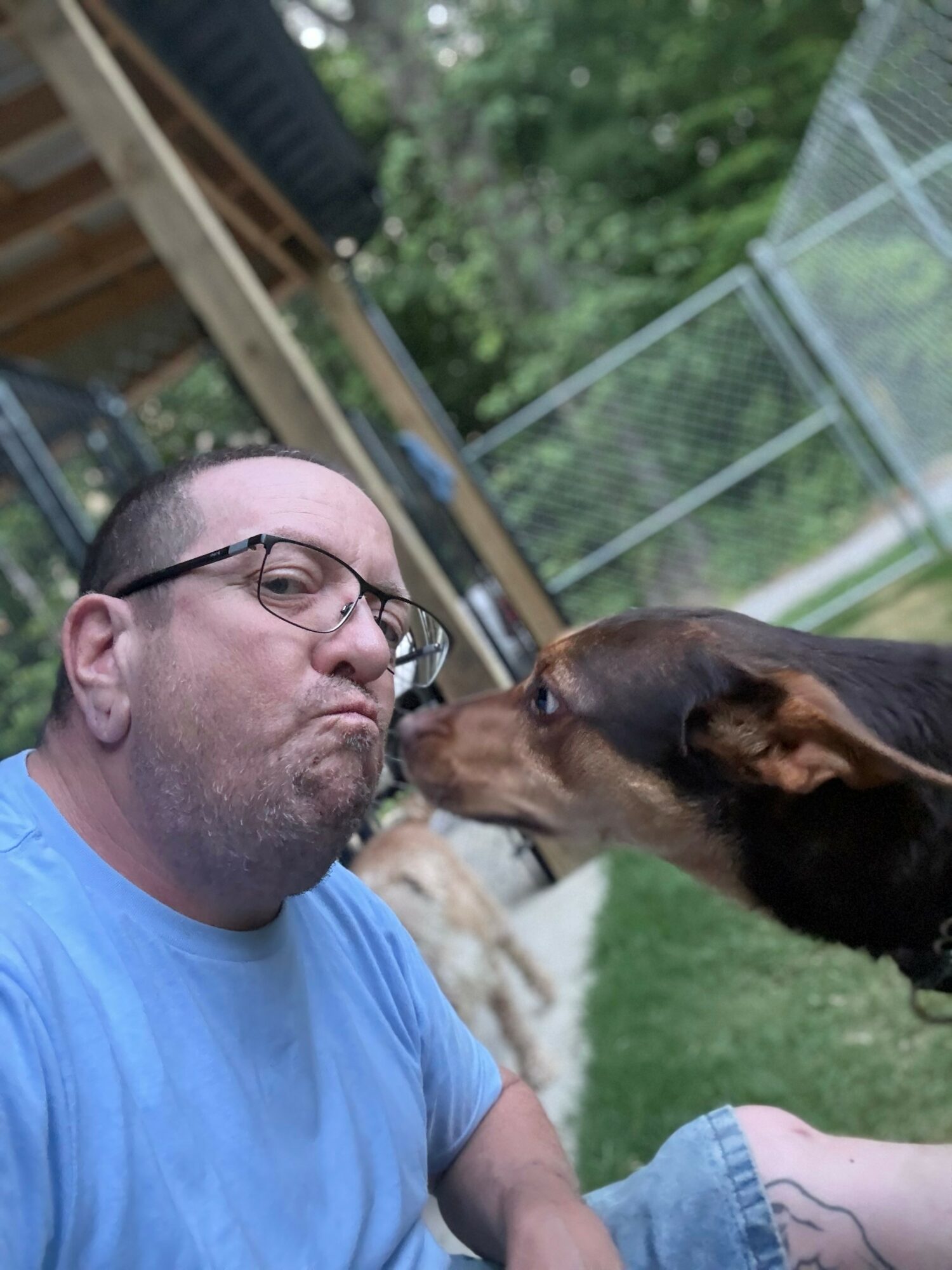 Man with glasses and a blue shirt interacts with a brown and black dog outdoors, with a fence and trees in background.