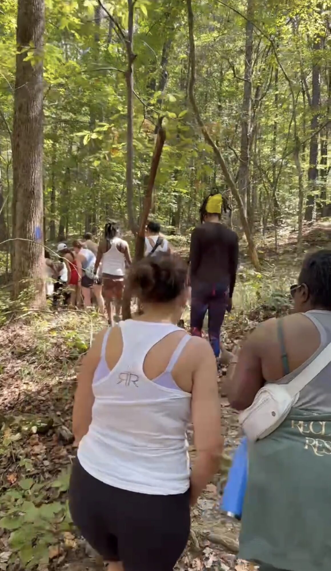 Group of people walking through a forested area with trees and green foliage, some wearing hats and casual clothing.