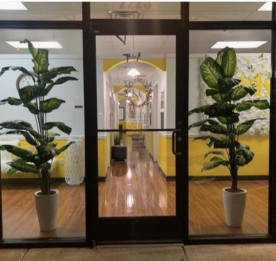 View through glass door showing hallway with yellow walls, plants in pots, and wooden floor.