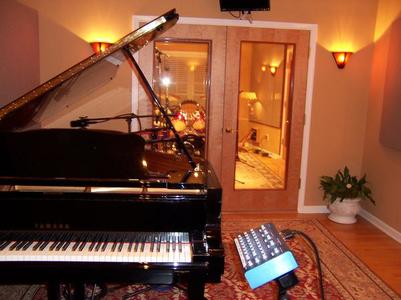 Grand piano with open lid in a room with warm lighting, a potted plant, and a glass door leading to another room.