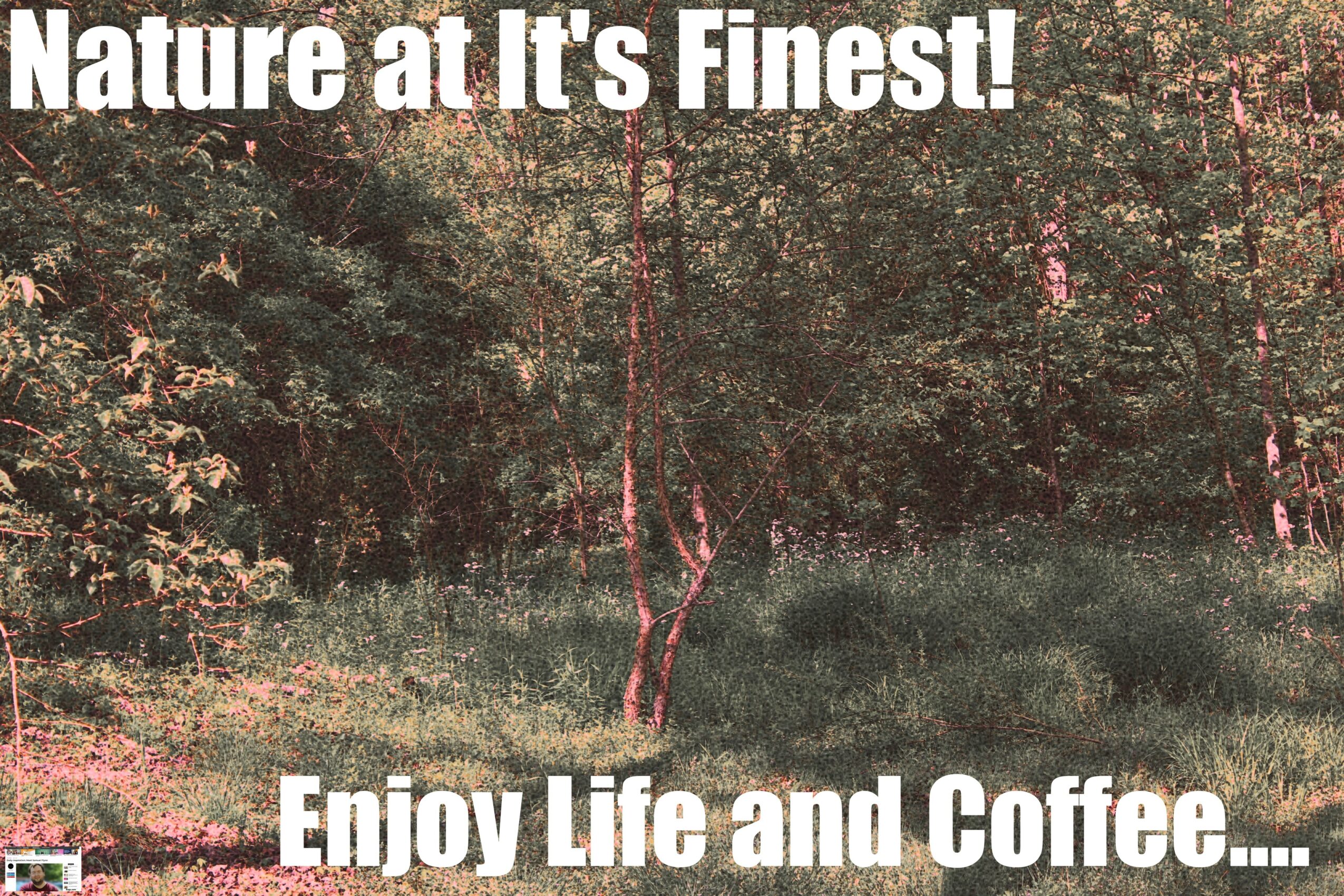 A natural outdoor scene with trees and grass, with overlaid text reading 'Nature at It's Finest! Enjoy Life and Coffee...'