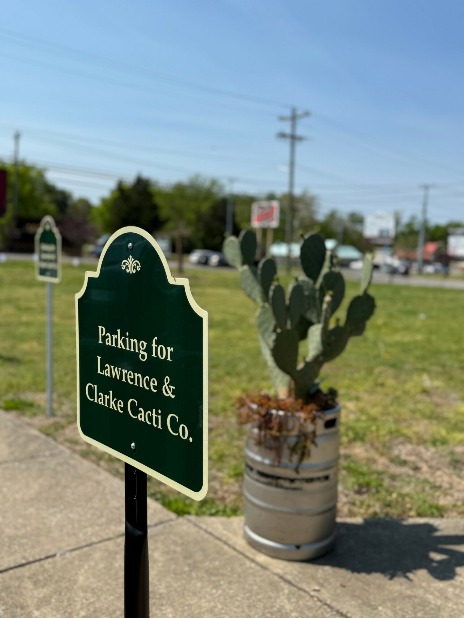 Green parking sign with white text in front of a large cactus in a metal container, outdoors on a sunny day.