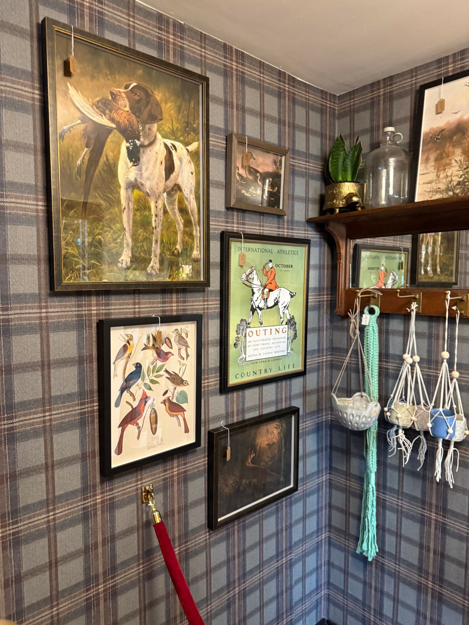 Wall decorated with framed animal and bird artwork, plaid wallpaper, and hanging accessories including ropes and fabric items.