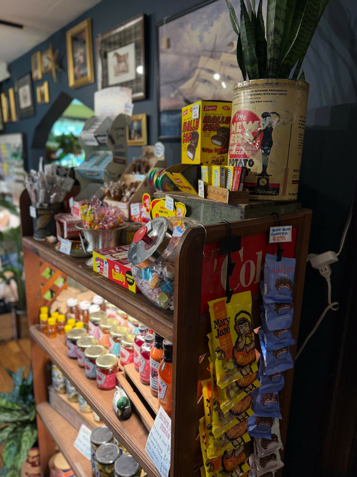 Display shelf with colorful candies, snacks, and a potted plant in a store interior.