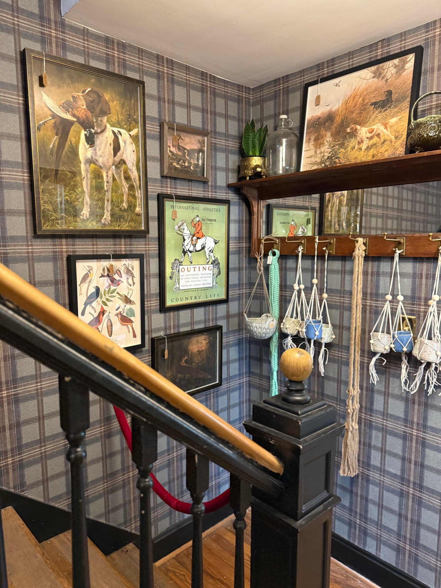 Corner of a staircase with plaid wallpaper, decorated with framed animal and nature pictures, a wooden shelf, and hanging ornaments.