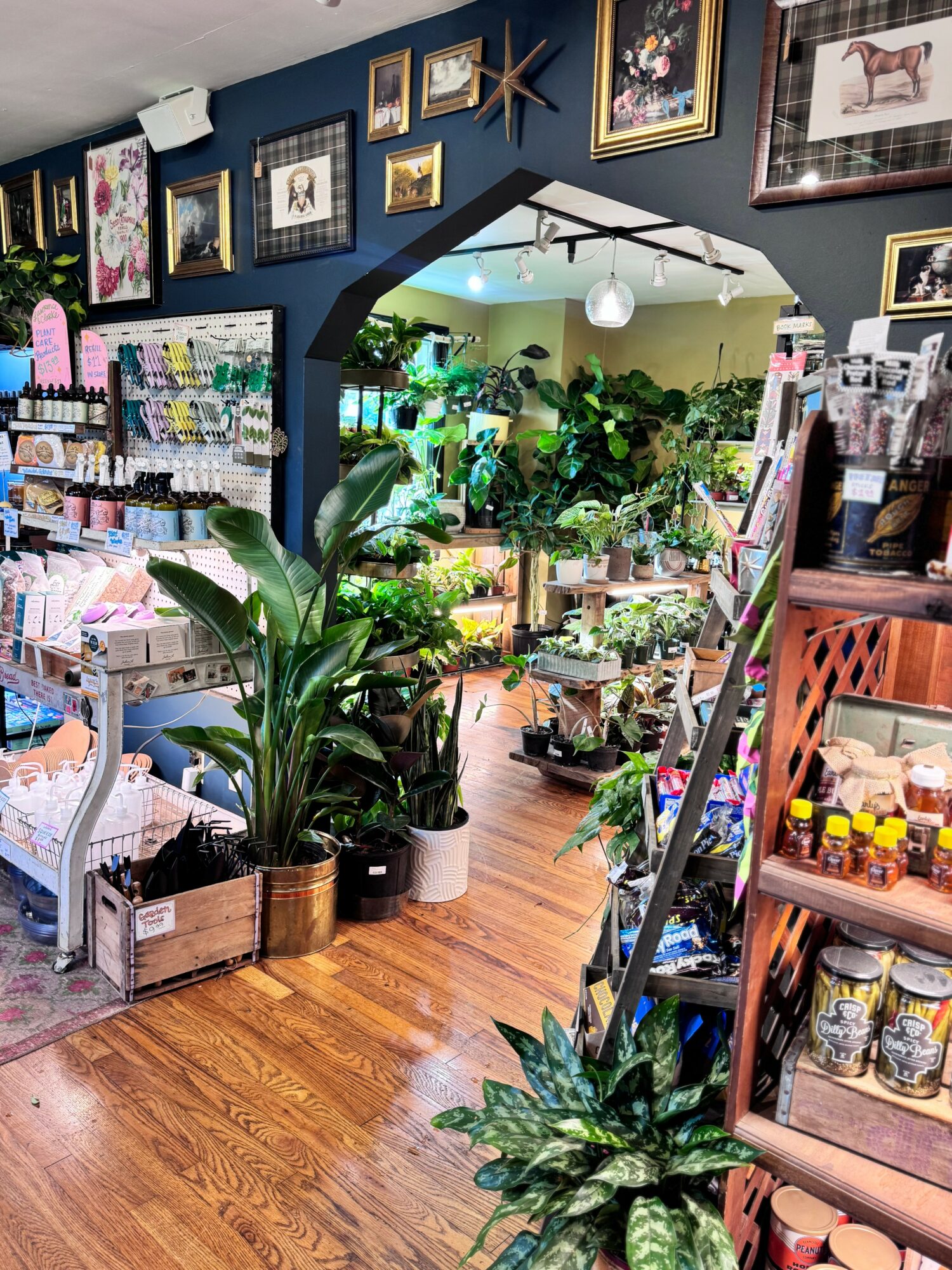 Interior of a store with plants, shelves, and framed pictures on the wall, seen through a mirror. Wooden floor and colorful decor.