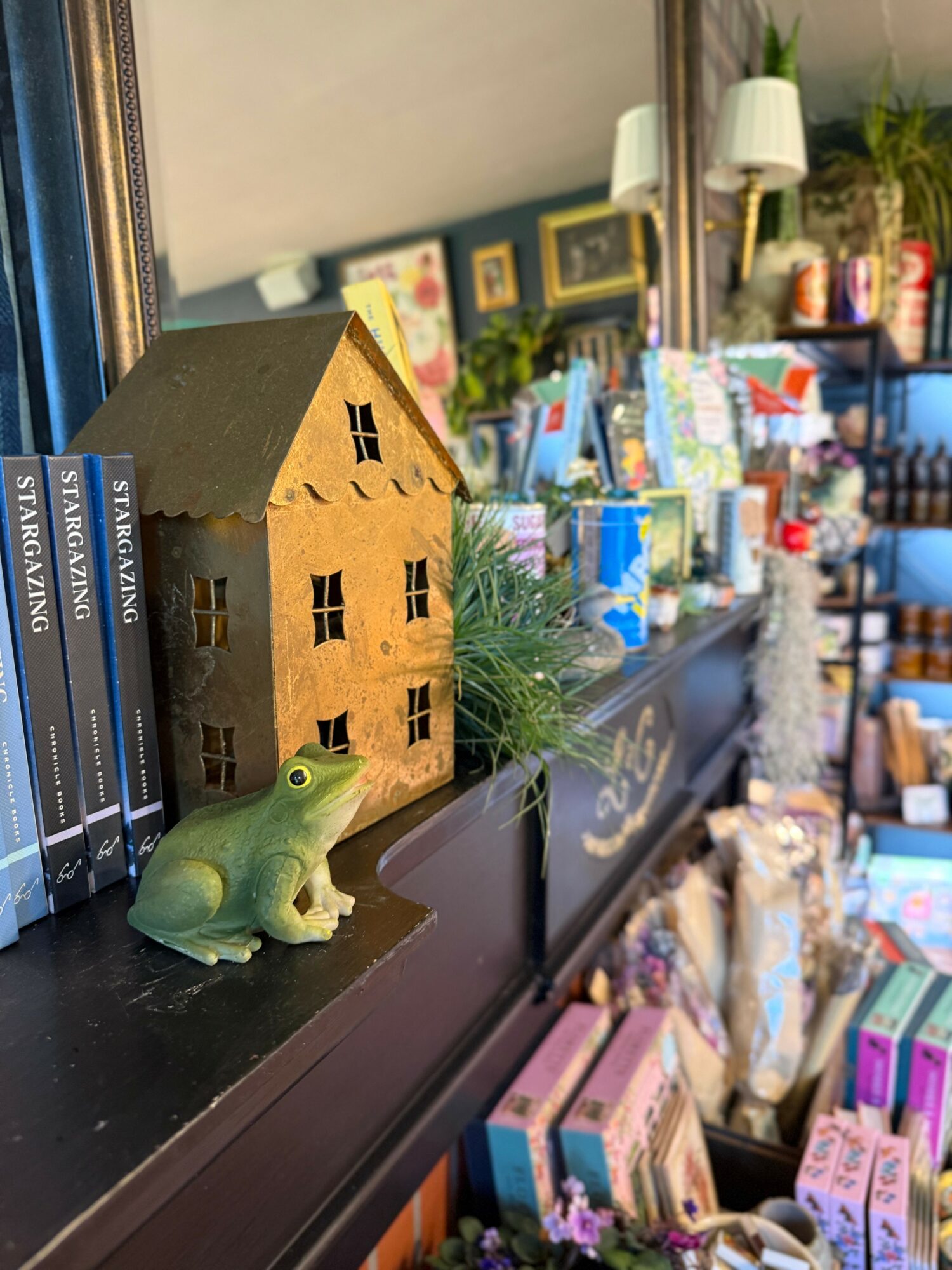 Decorative house model, frog figurine, books, and various items on a store shelf, with a mirror and framed pictures in the background.