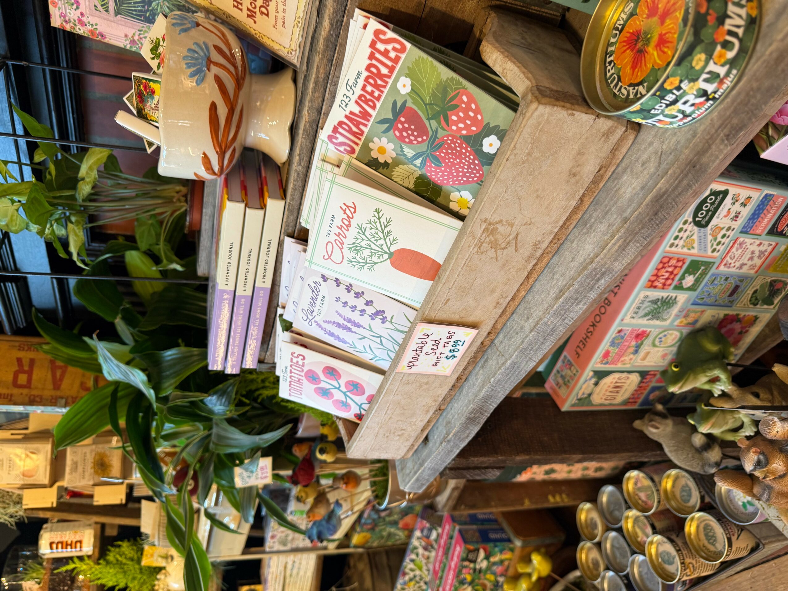Books and items on a wooden shelf, including colorful boxes, plants, and jars, viewed sideways.