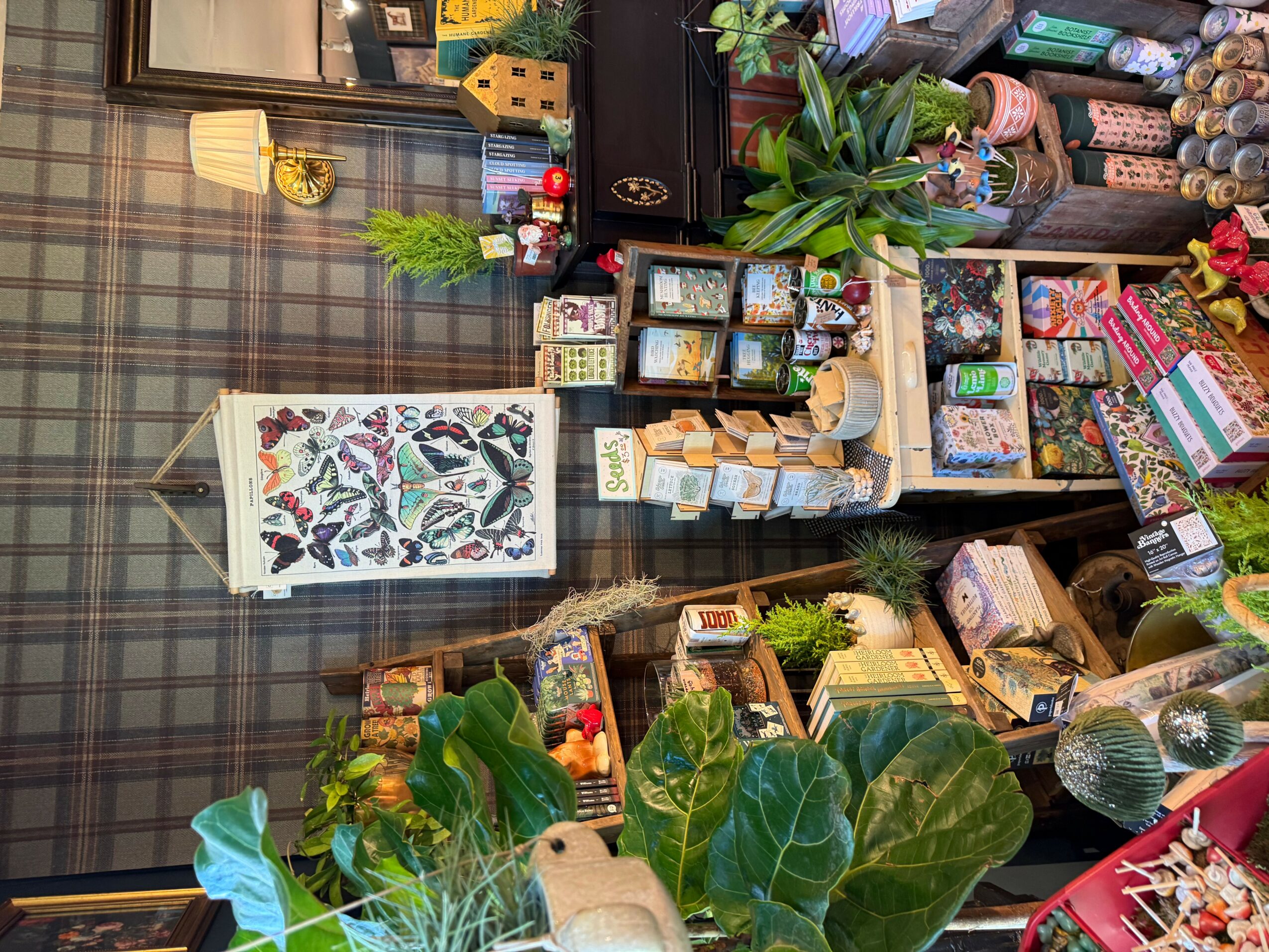 Interior of a shop with shelves of plants, books, and decorative items, and a plaid wall in the background.