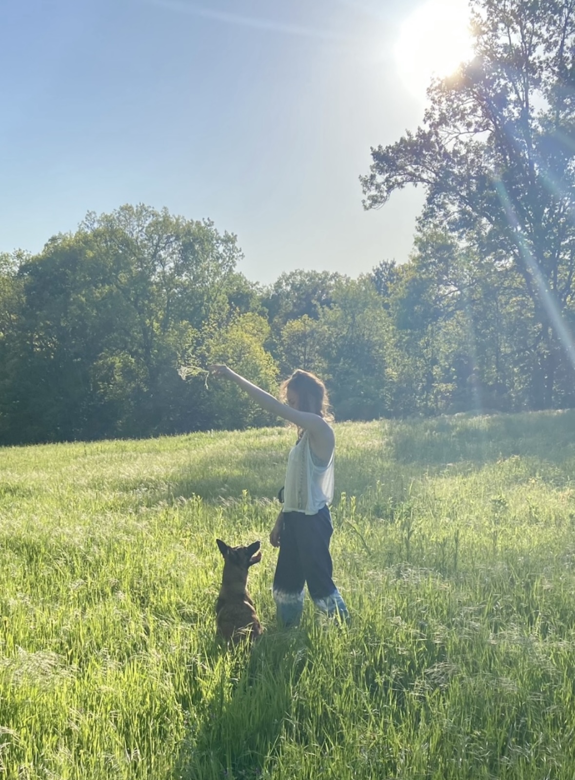 Child standing in a grassy field pointing a stick, with a dog sitting nearby, trees in the background, and sunlight overhead.