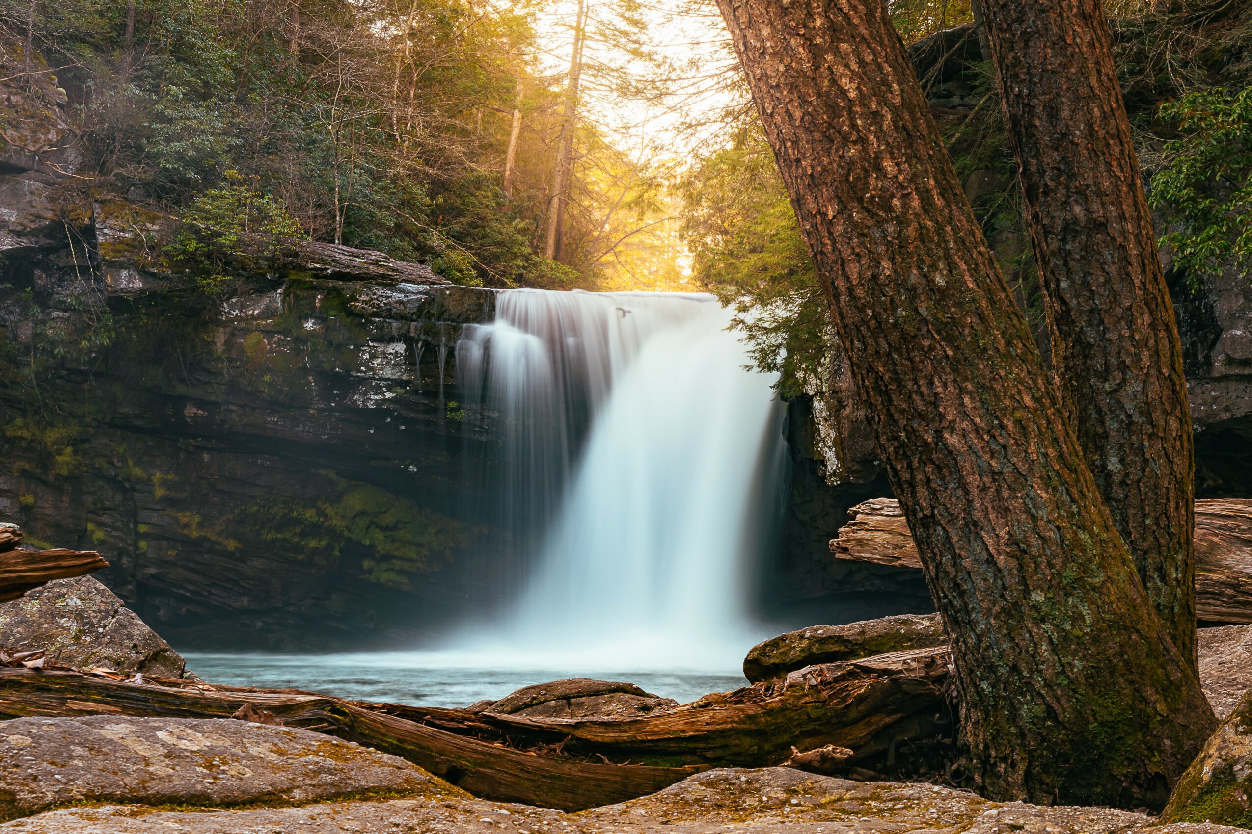 Waterfall flowing into a pool surrounded by trees and rocks, sunlight filtering through the forest canopy.