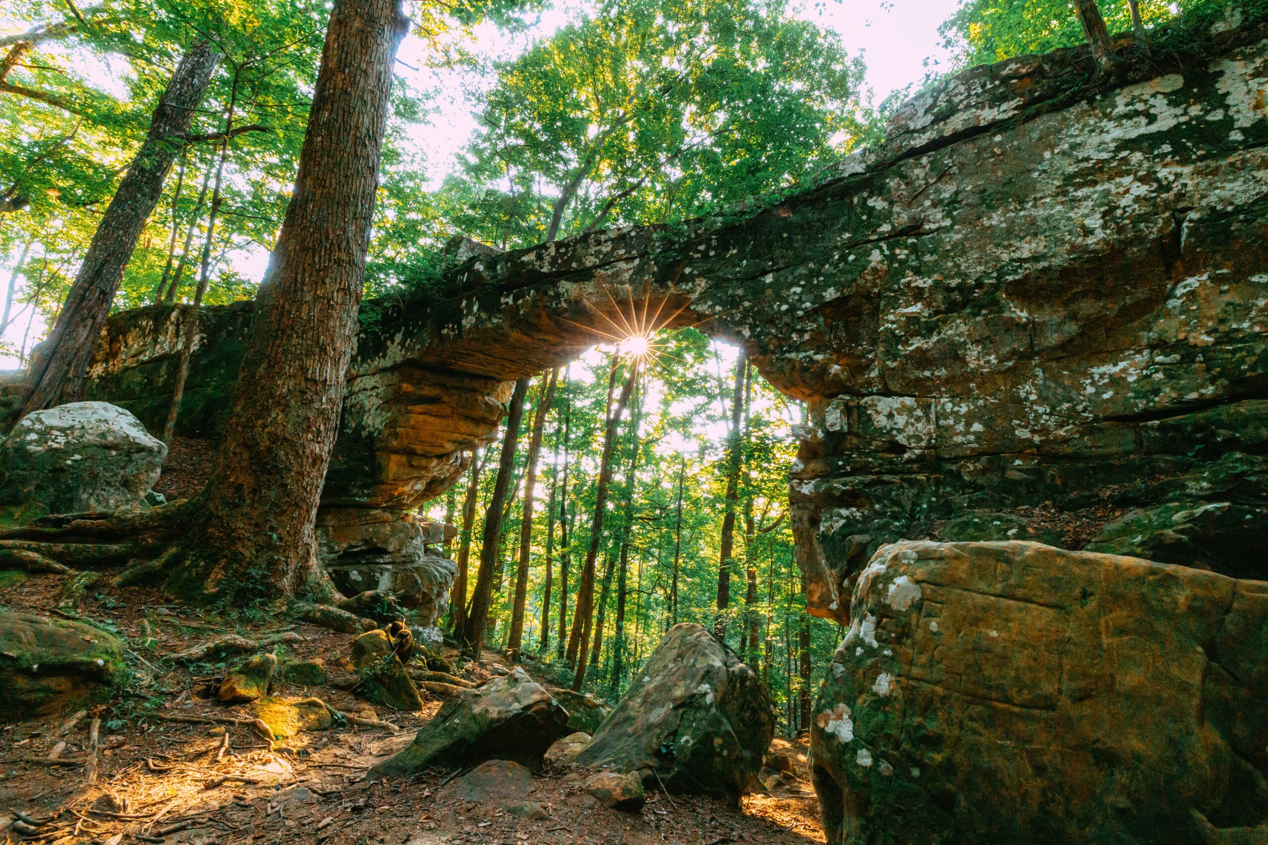 Sunlight filters through trees and a natural rock arch in a forest scene.
