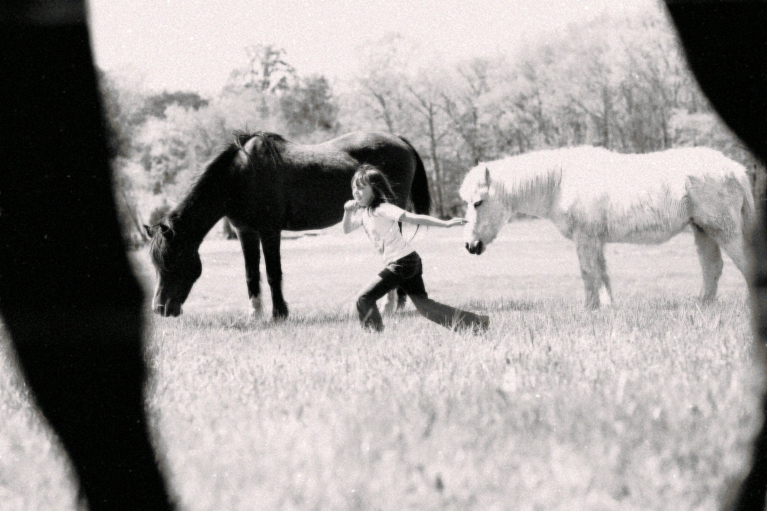 Child running towards two horses in a grassy field, holding one horse's reins, trees in the background.