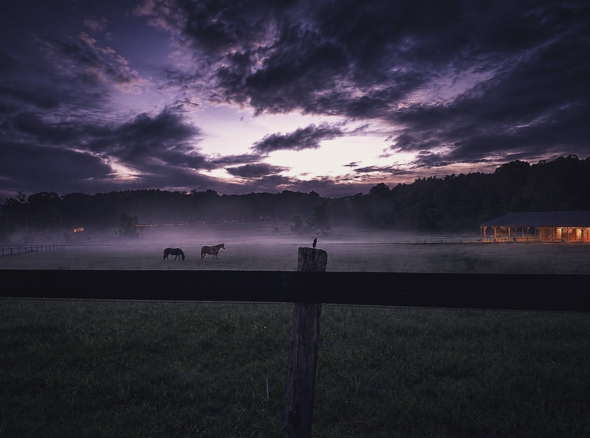 Dawn or dusk sky with clouds, misty field with horses, and a wooden fence in the foreground.