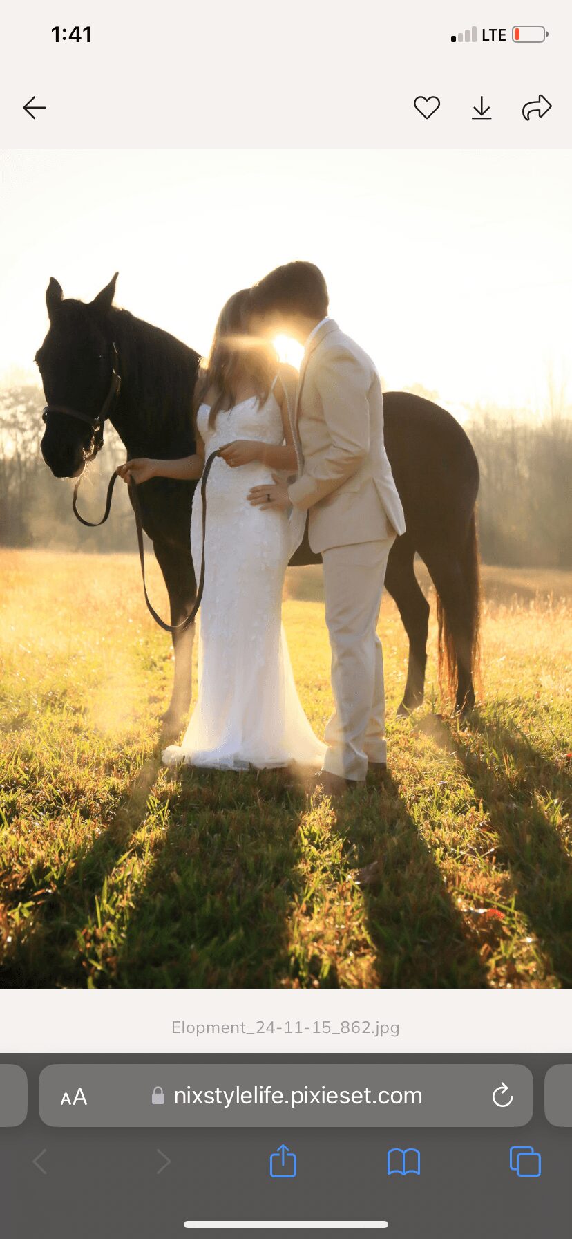 Two people in wedding attire stand close with a horse in a field during sunset, their shadows cast on the grass.