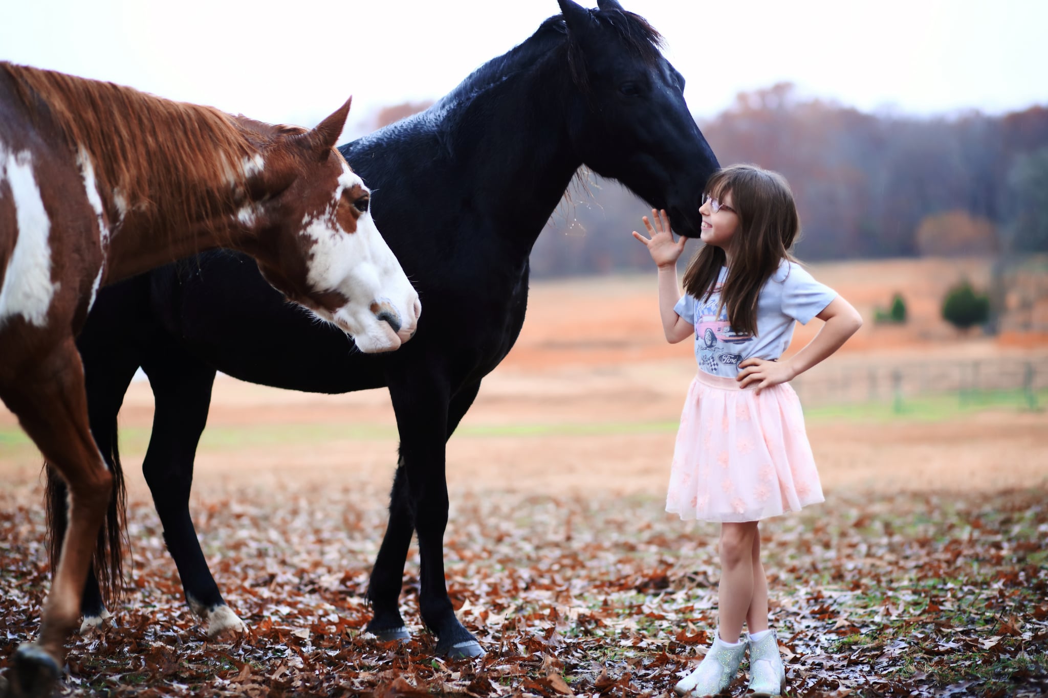 Young girl in a pink skirt and white top touching a black horse's face outdoors, with a brown and white horse nearby.