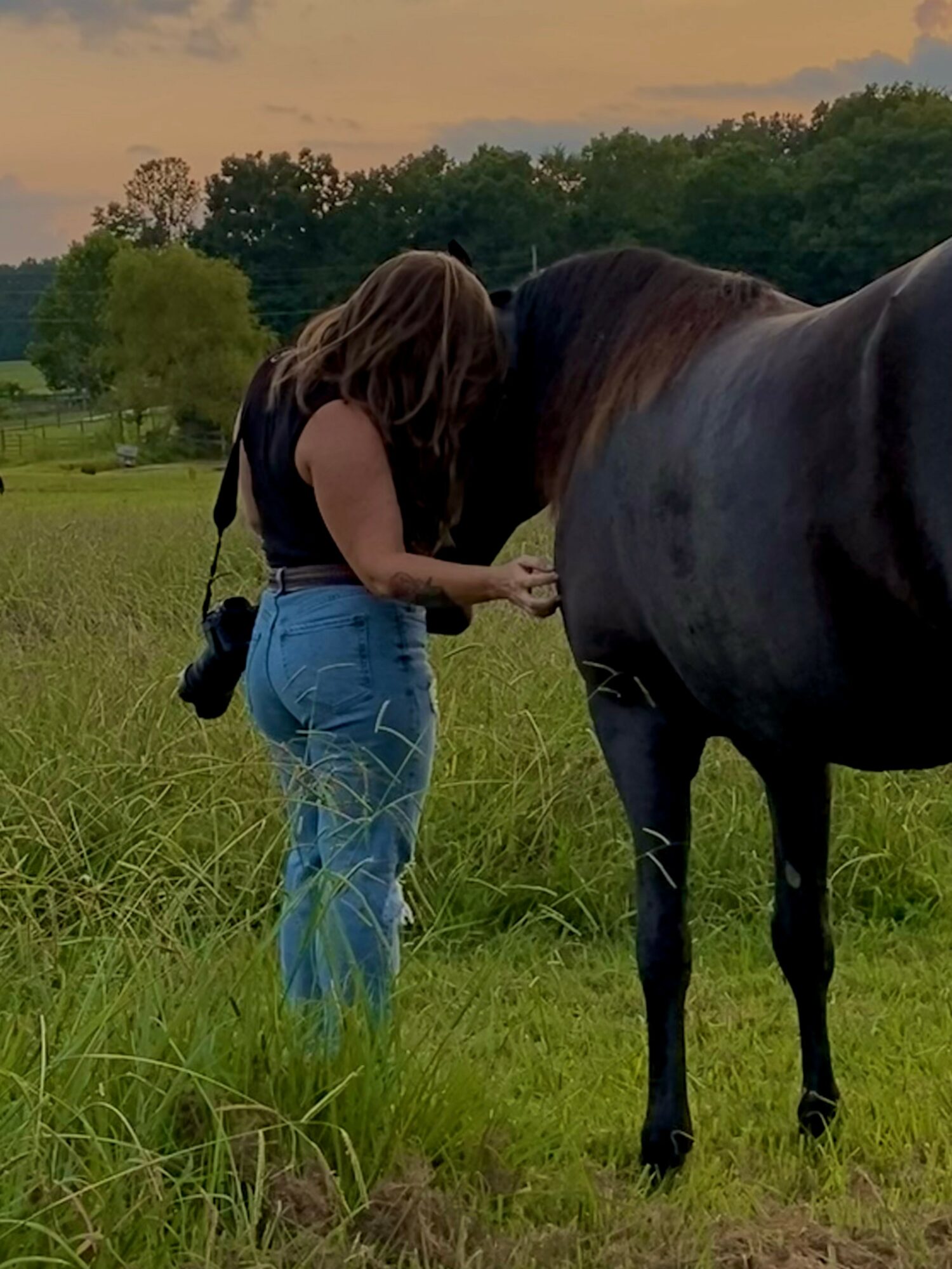 Person with long hair and jeans stands next to a horse in a grassy field, with trees and a cloudy sky in background.