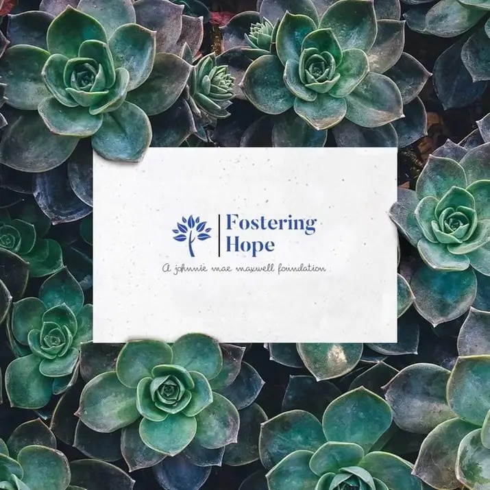 White card with blue logo and text, surrounded by green succulents, displaying 'Fostering Hope' and a tagline.