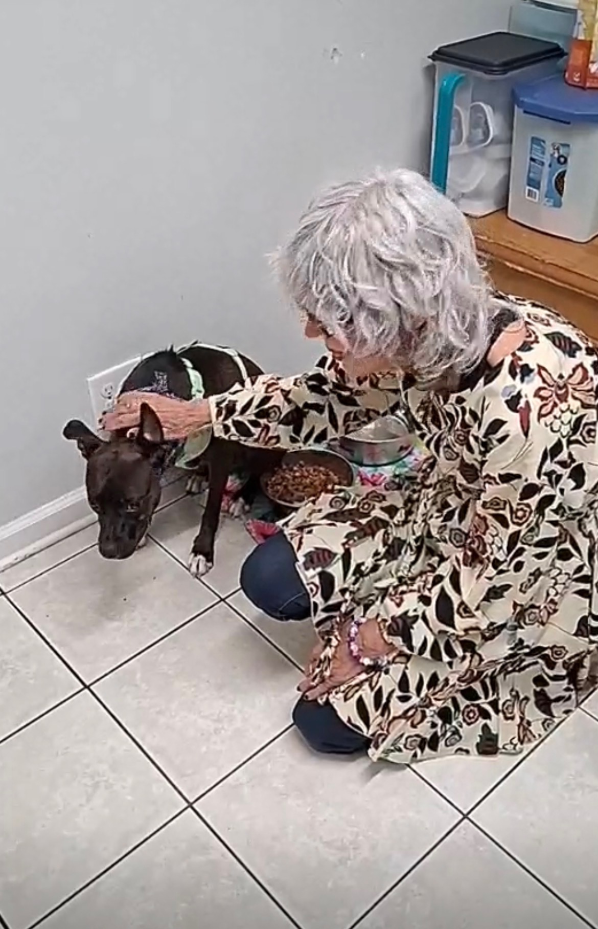 Elderly person with curly gray hair petting a small black dog indoors, near a water dispenser and a basket.