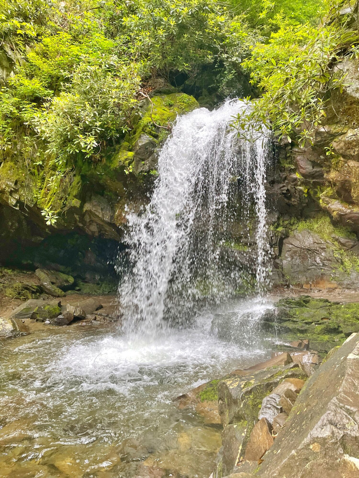 Waterfall flowing over rocks surrounded by green foliage in a natural setting.