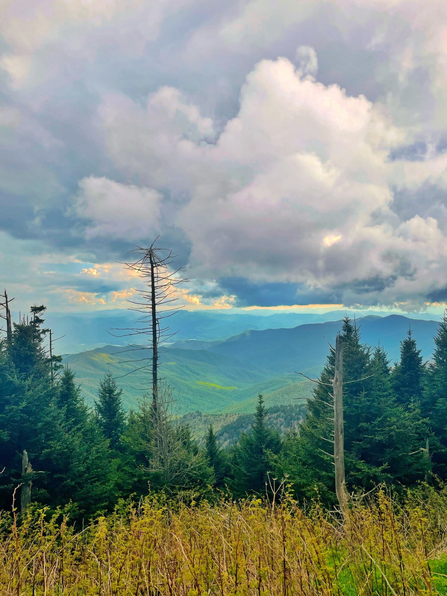 Scenic view of a forest with green trees, rolling hills, and a cloudy sky.