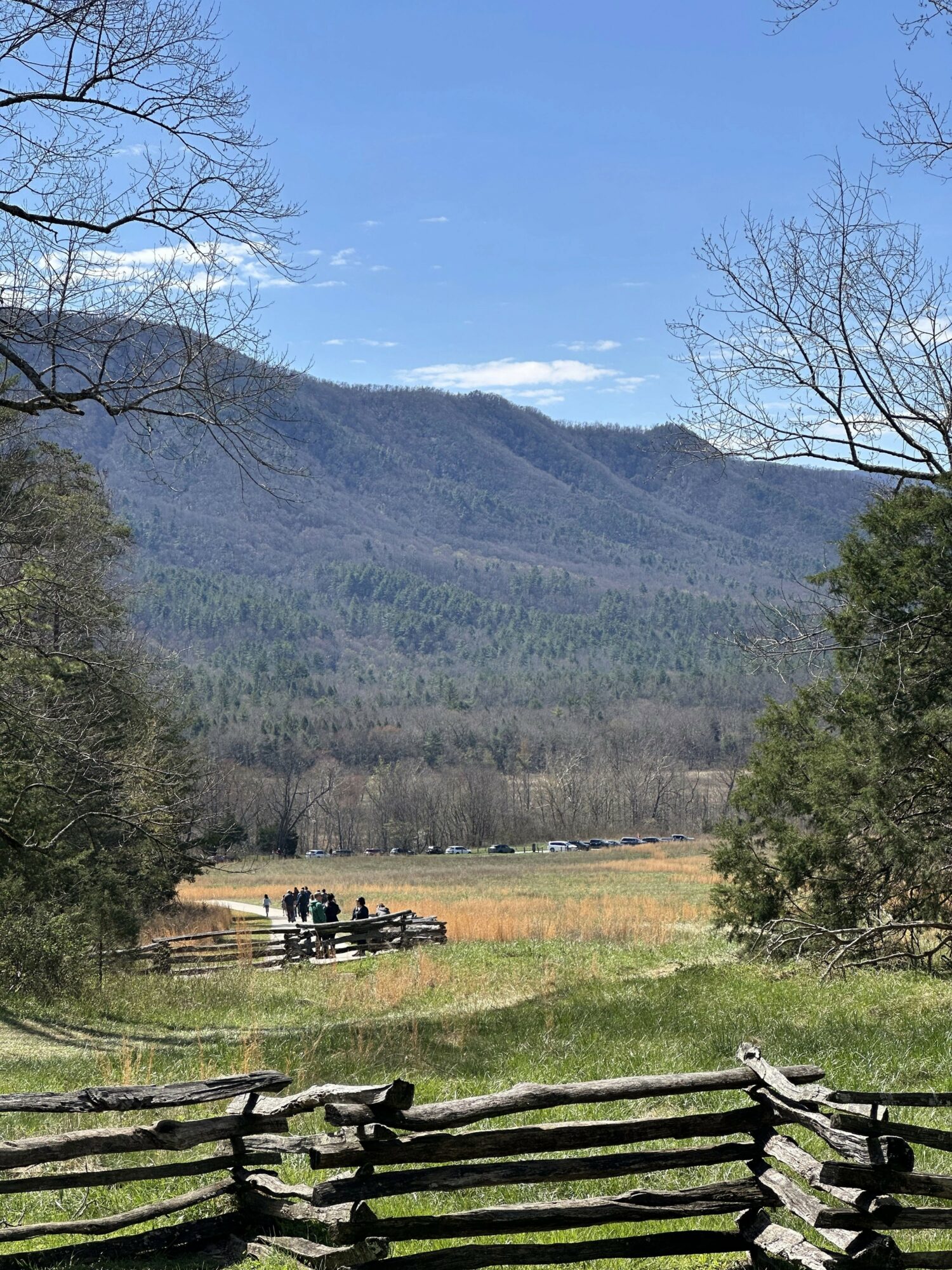 Scenic landscape with mountains, trees, and a wooden fence in a field, under a blue sky with some clouds.