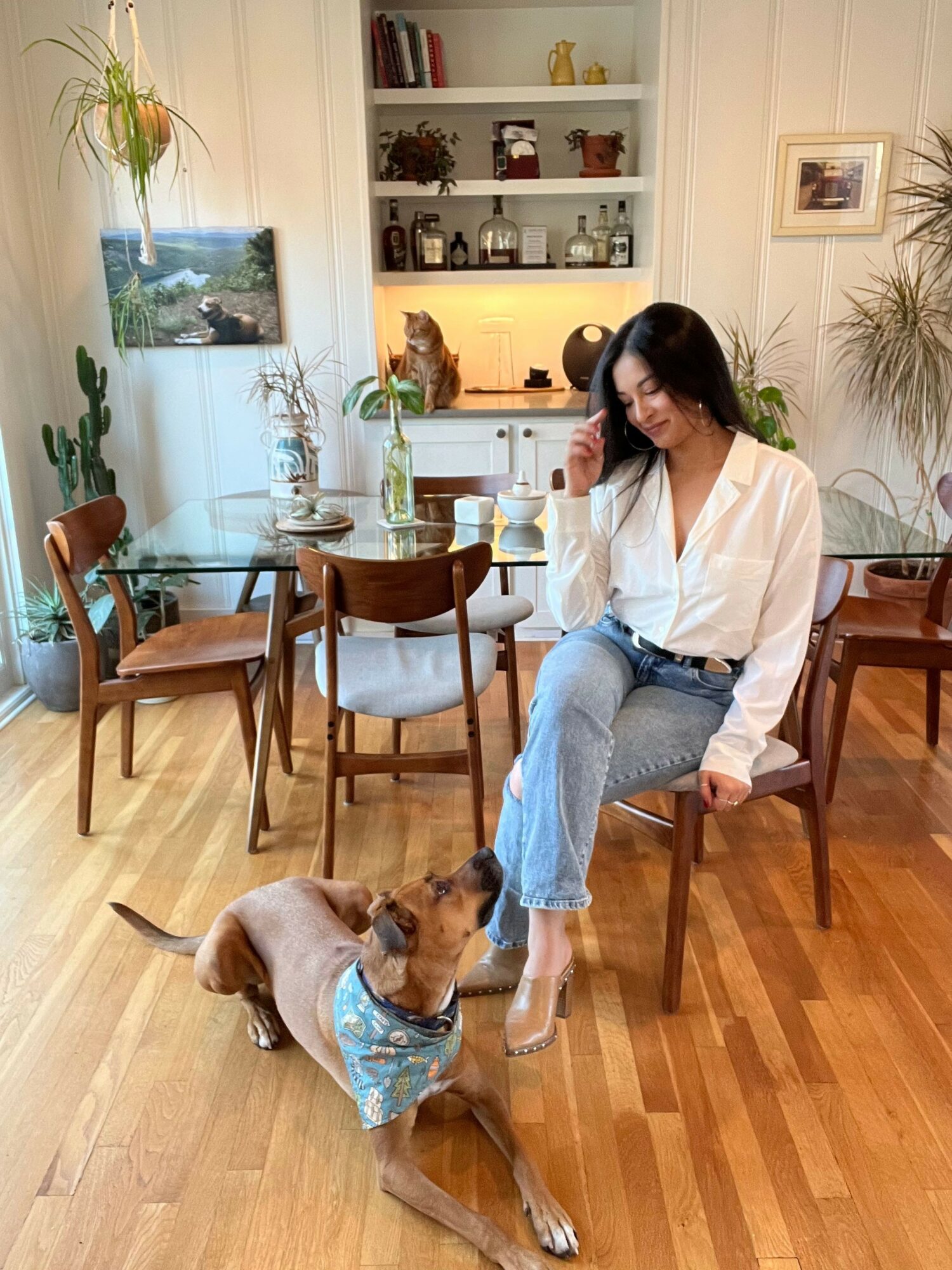 Woman sitting on a chair with a dog wearing a blue bandana on a wooden floor in a room with plants and furniture.