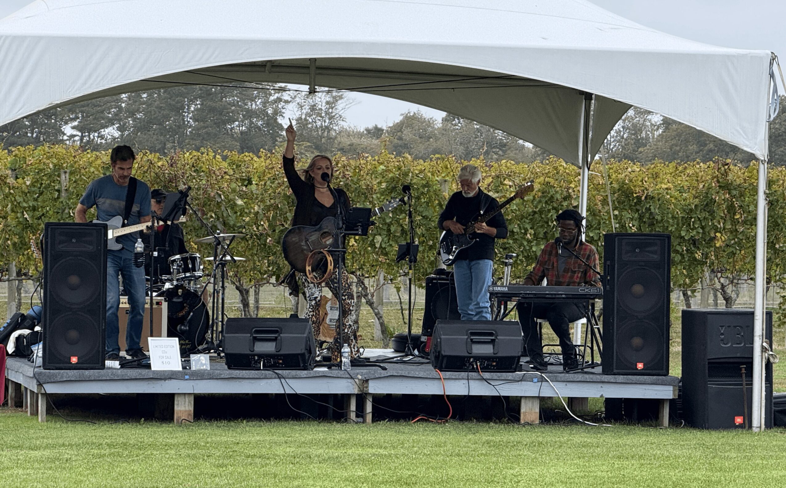 Band performing on stage outdoors under a white canopy, with four musicians playing instruments and a woman singing.