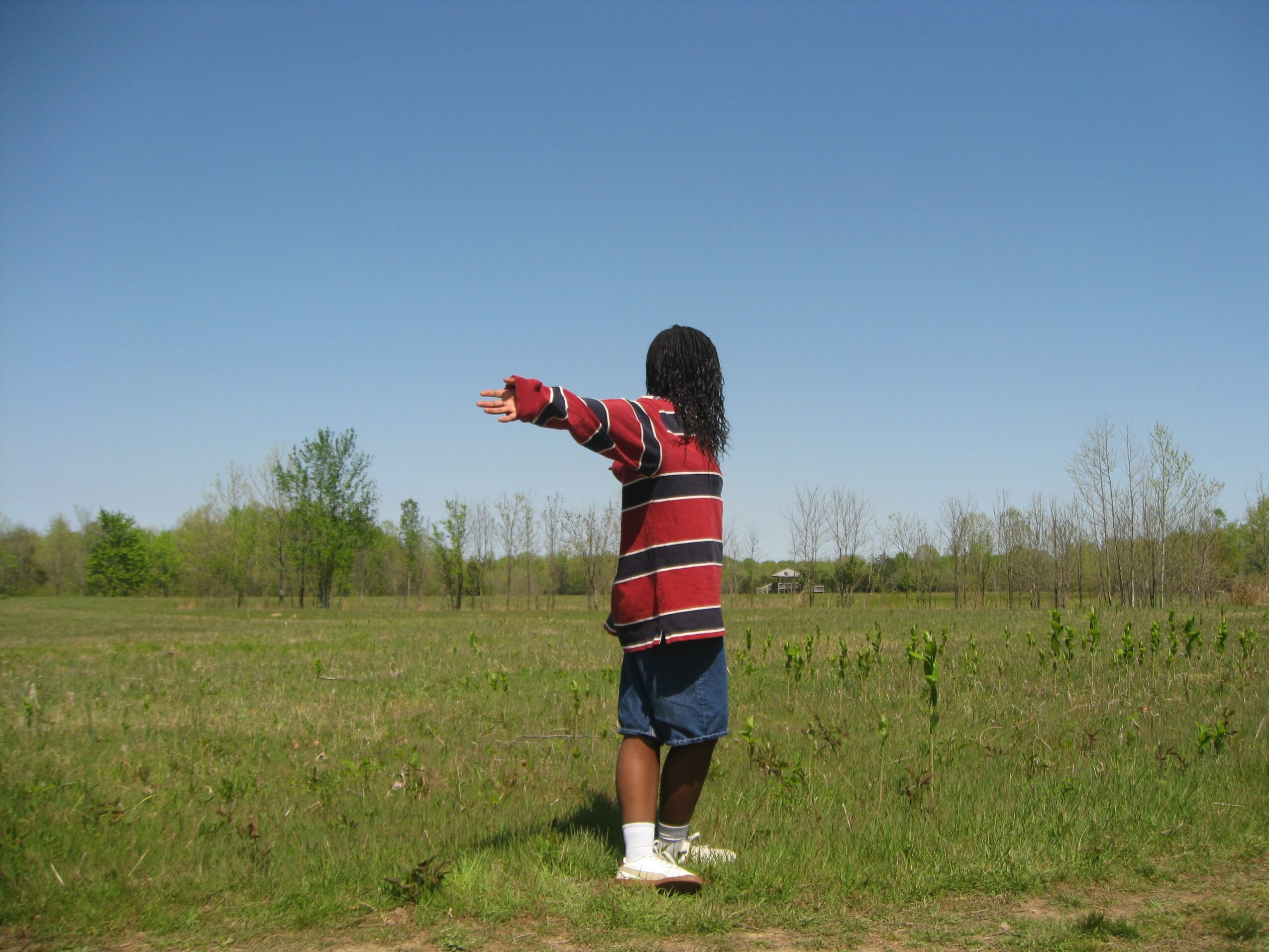 Child standing in a grassy field with arms outstretched, facing away, under a clear blue sky.