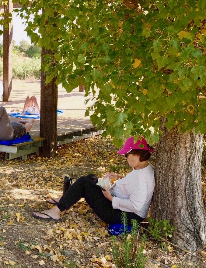 Person sitting against a tree reading a book, wearing a pink hat and white shirt, surrounded by fallen leaves.