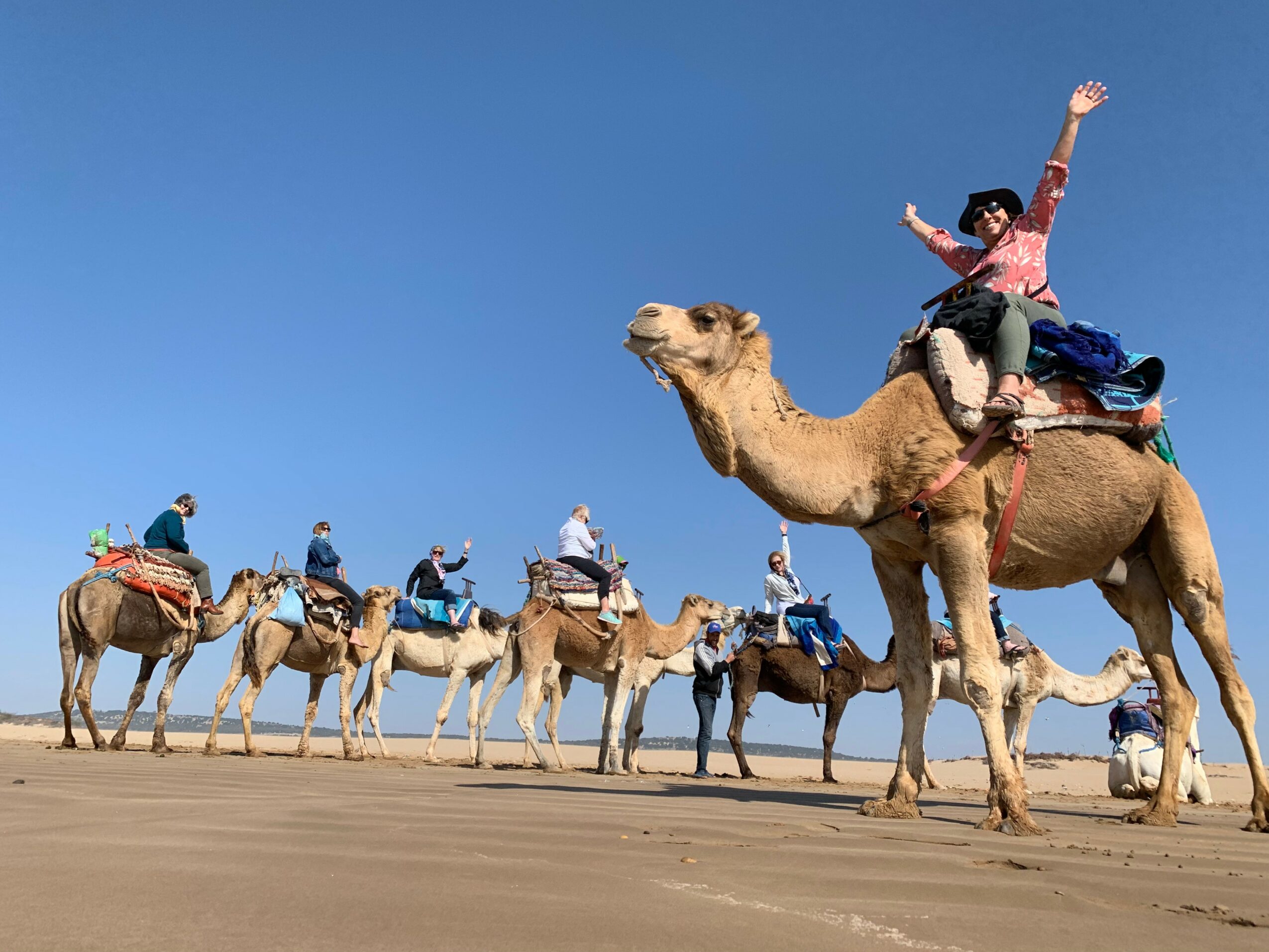 Person riding a camel with raised arm, group of camels and riders on a sandy landscape under clear blue sky.