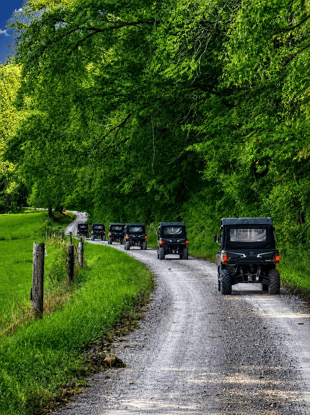 A line of black off-road vehicles driving on a gravel road through a lush green forest, with trees and grass on both sides.