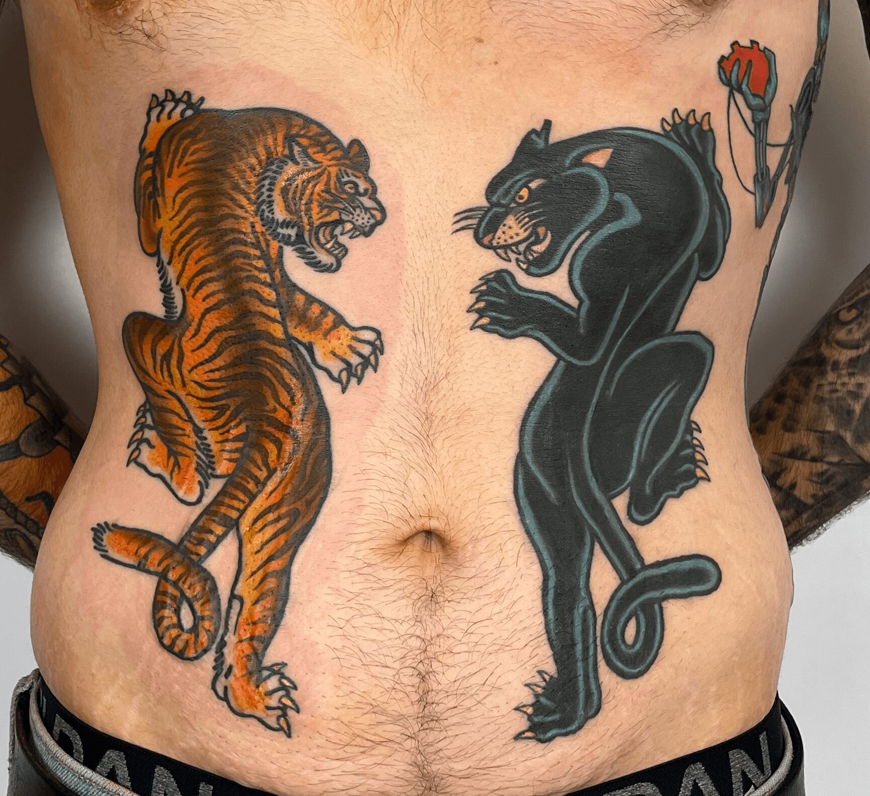 Two large tiger and panther tattoos on person's abdomen, with a flower on the right side, detailed and colorful.