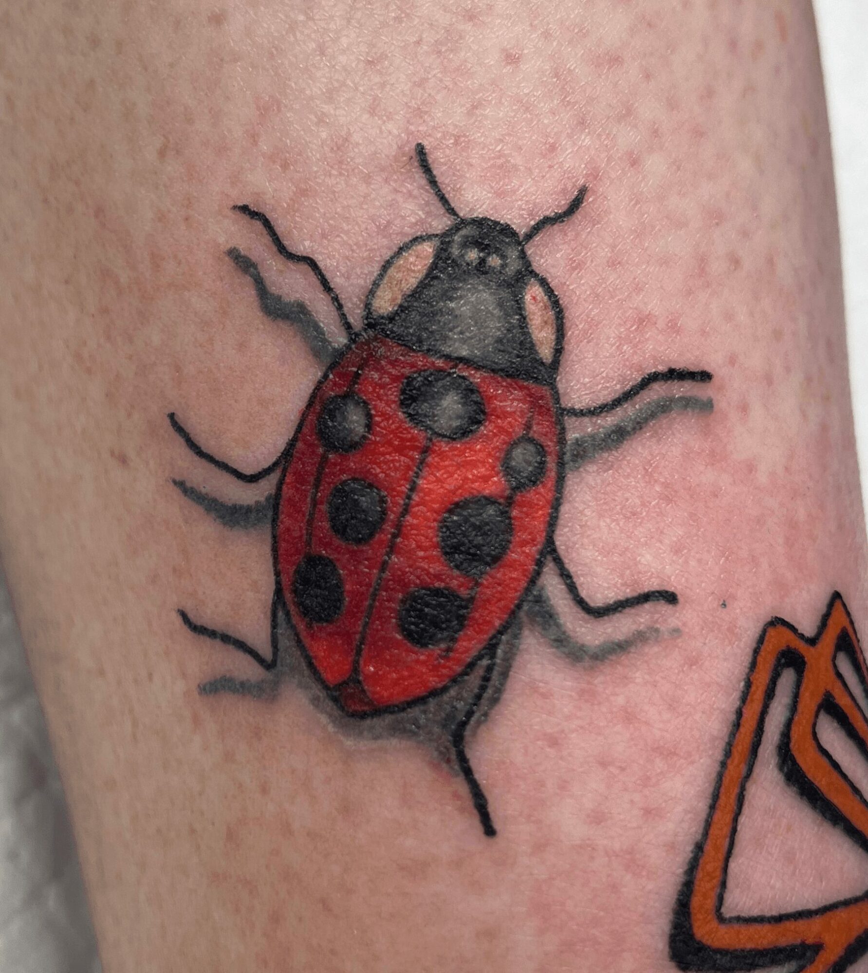 Colorful ladybug tattoo with black spots on red wings on skin.