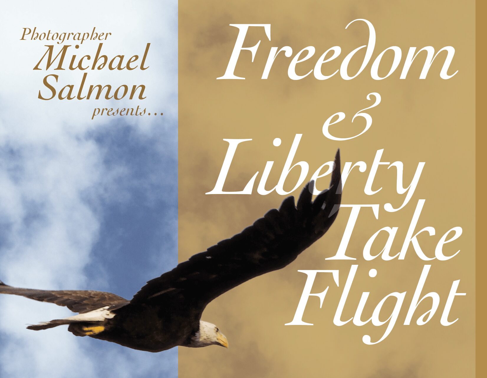 Eagle soaring with sky and clouds background, text about freedom, liberty, and flight, photographer Michael Salmon.