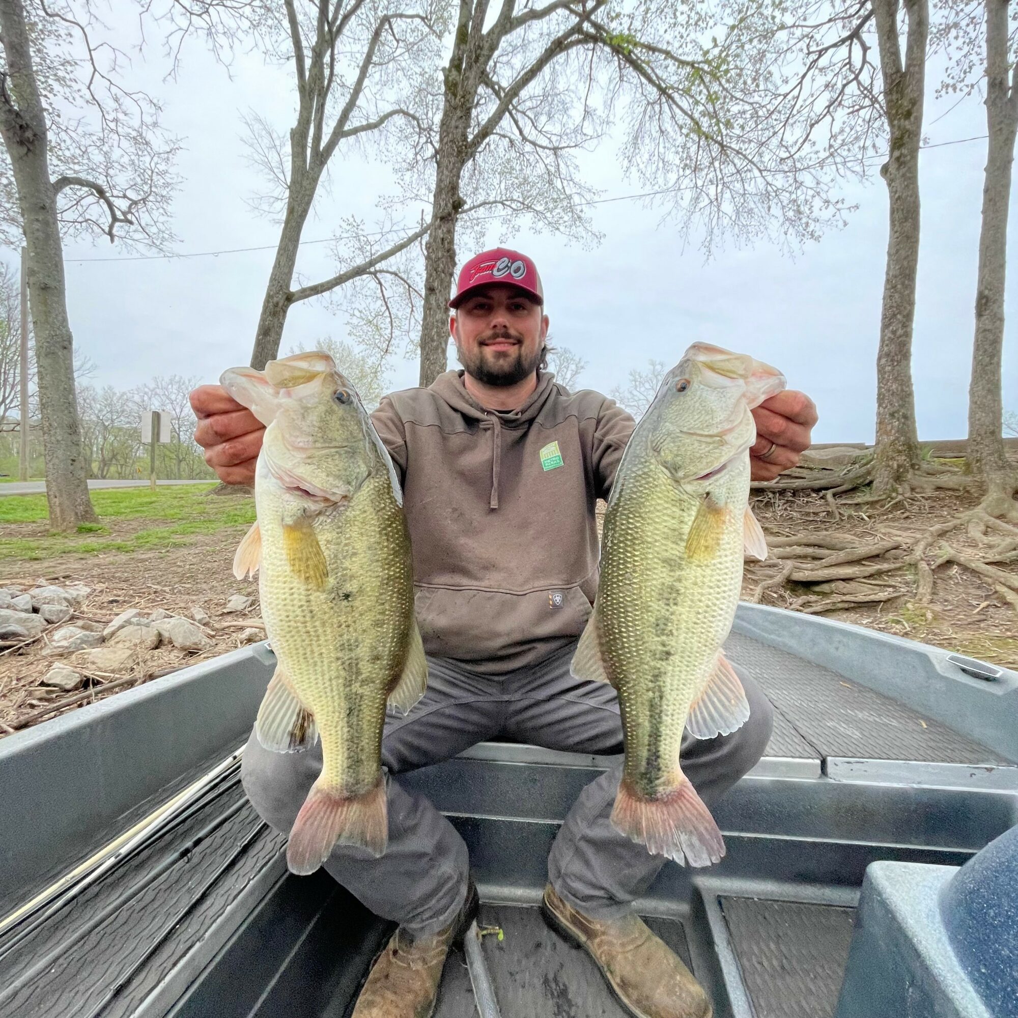 Man sitting in a boat holding two large fish, outdoors with trees and roots in the background.