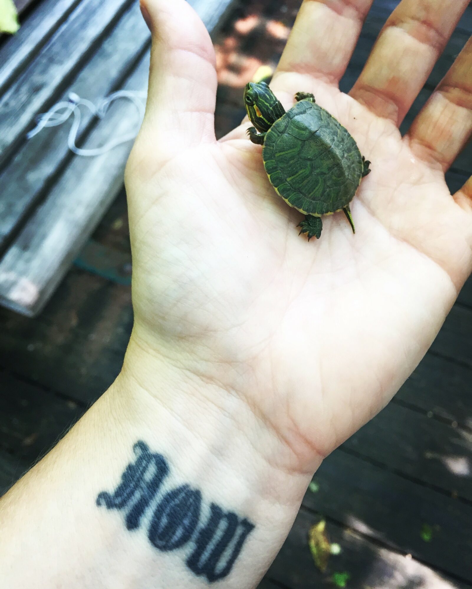 Person's hand with a tattoo reading 'MOM' and a small turtle on the palm, outdoors with wooden surface background.